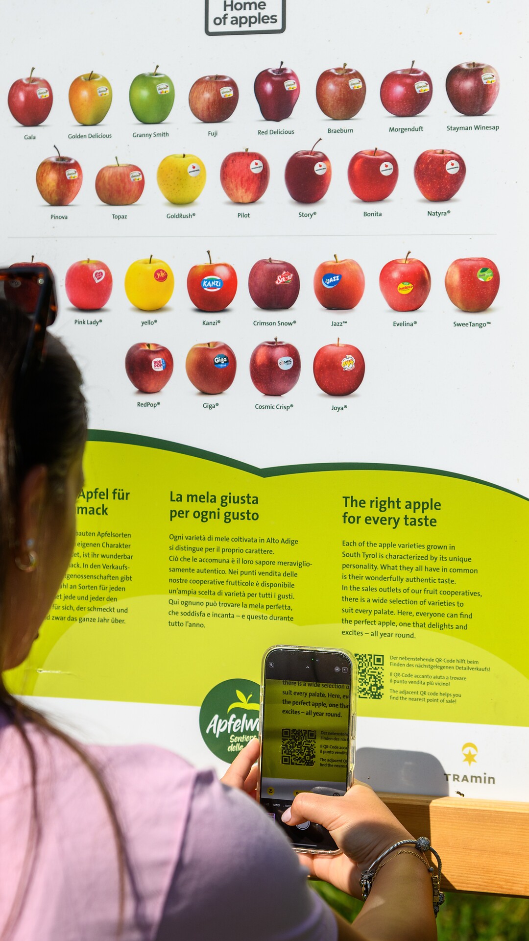 Genussvoll entlang des Apfelweges in Kurtatsch - Südtiroler Weinstraße - #5 - suedtirol.info