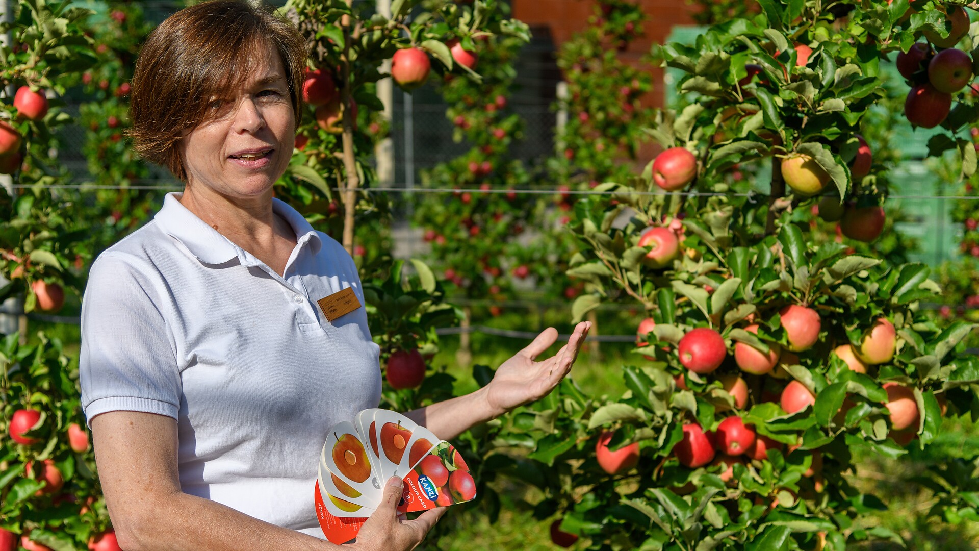 Genussvoll entlang des Apfelweges in Kurtatsch - Südtiroler Weinstraße - #2 - suedtirol.info