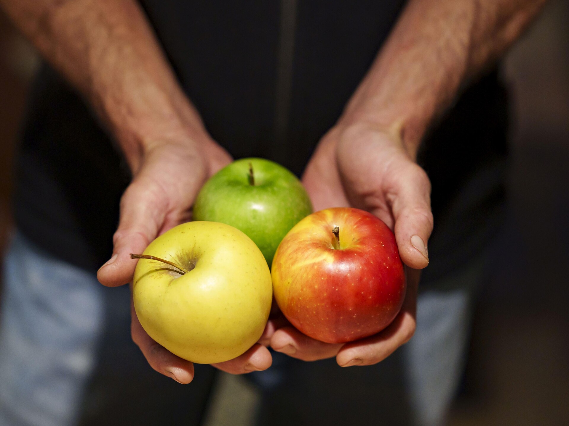 Apfelführung am Ansitz Lidl in Prissian in deutscher Sprache - Meran und Umgebung - #1 - suedtirol.info