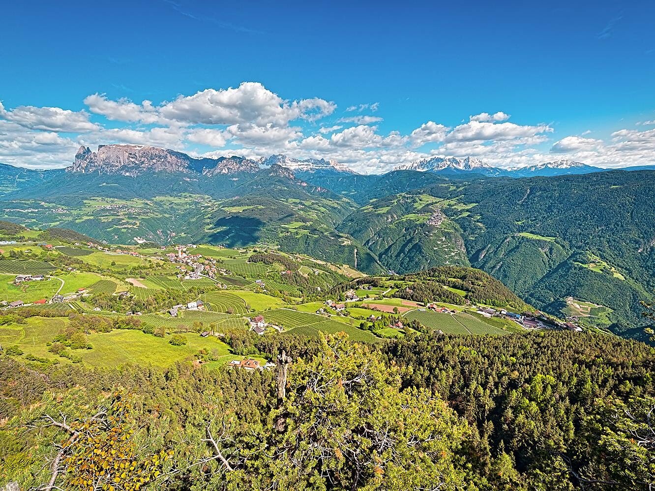 Rifiorire sull'altipiano soleggiato - Eecursione ai laghi di Costalovara Renon 3 suedtirol.info