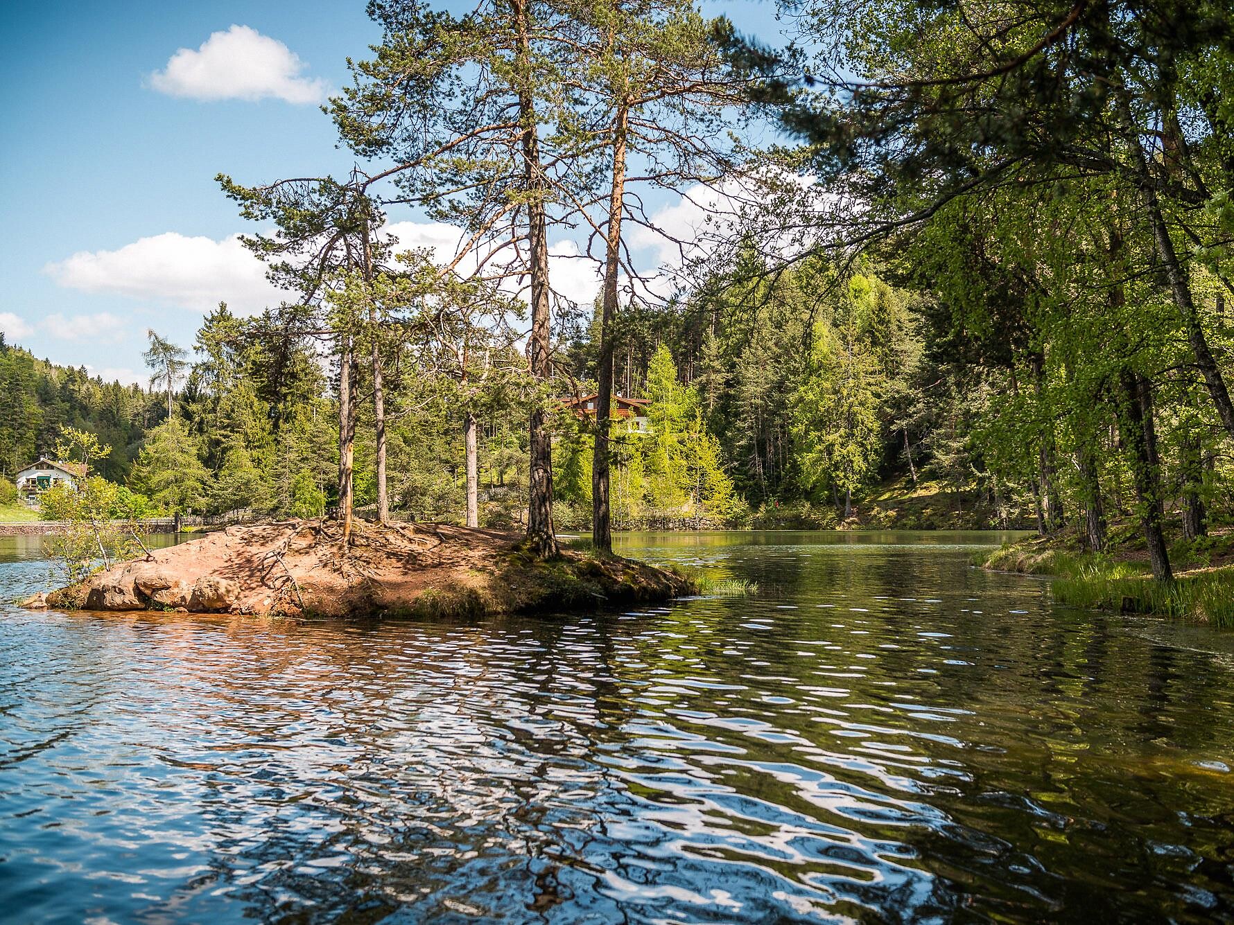 Rifiorire sull'altipiano soleggiato - Eecursione ai laghi di Costalovara Renon 1 suedtirol.info