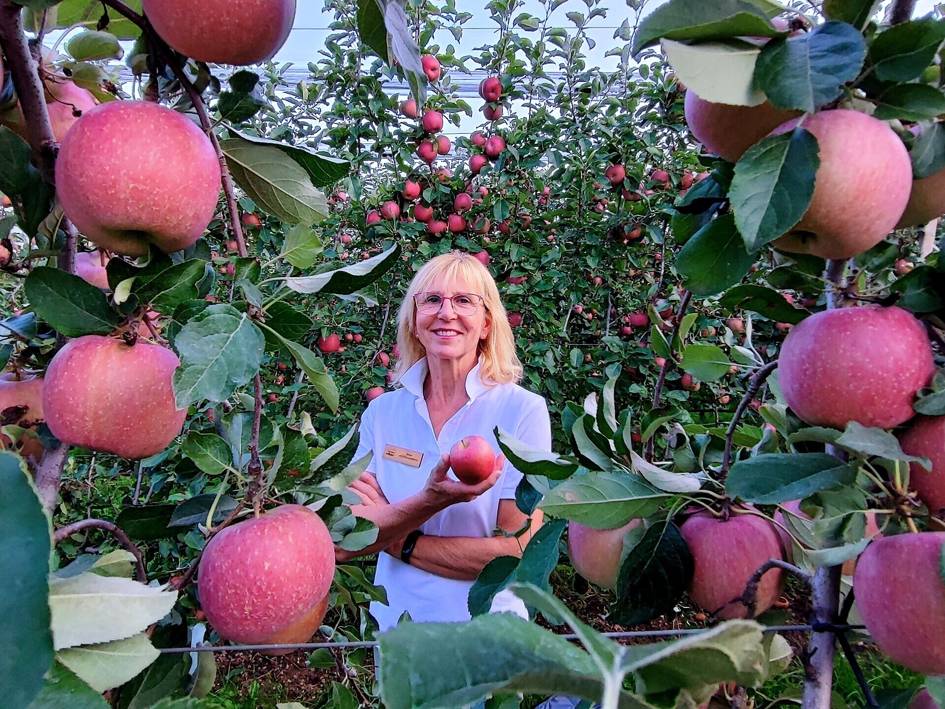 Apfelführungen am Oberharbhof in Andrian - Südtiroler Weinstraße - #3 - suedtirol.info