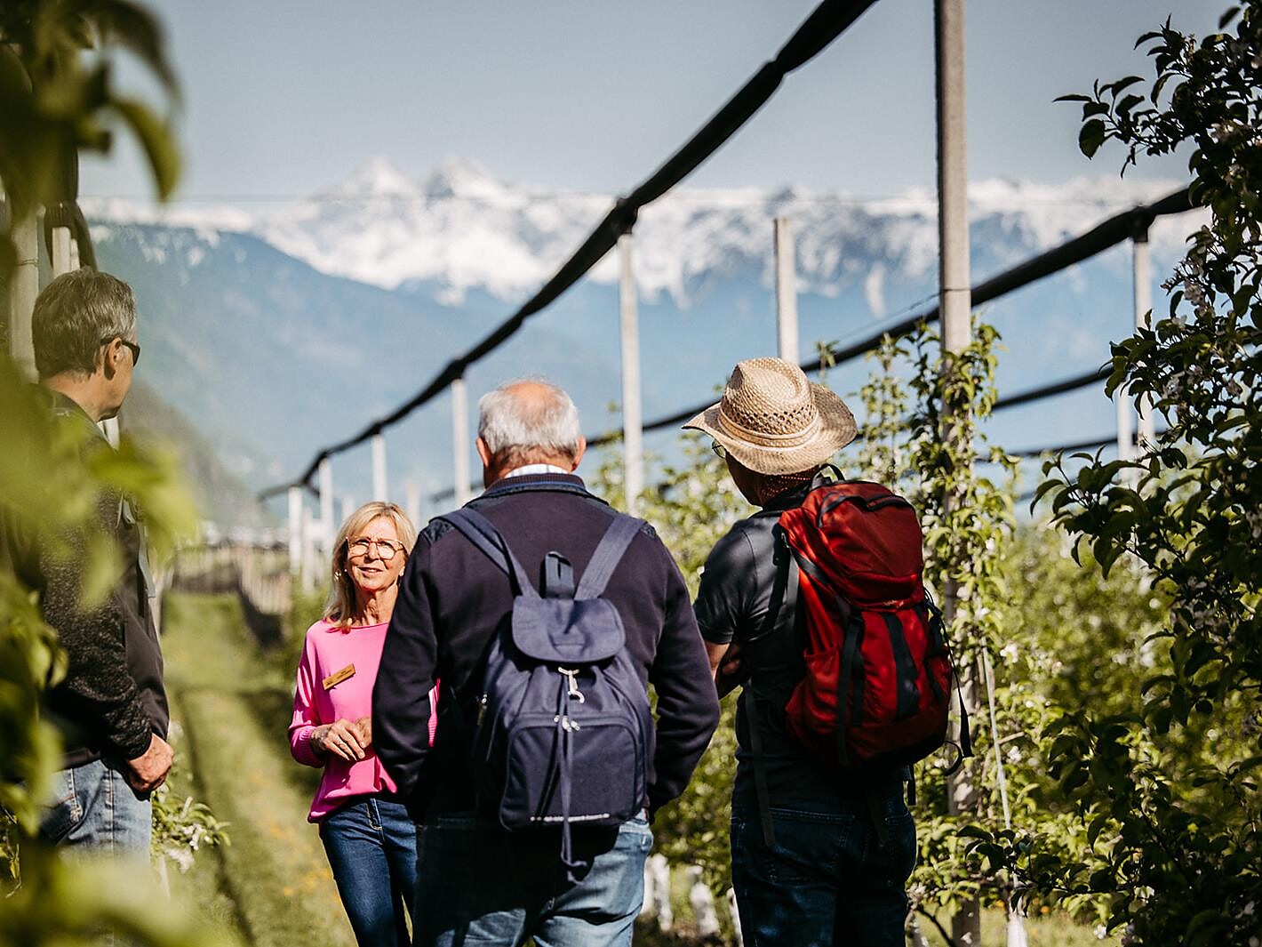 Apfelführungen am Oberharbhof in Andrian - Südtiroler Weinstraße - #2 - suedtirol.info