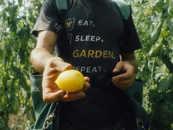 Serata AmUm e film TiAN Alternative ai pesticidi in Alto Adige - Merano e dintorni - #1 - suedtirol.info