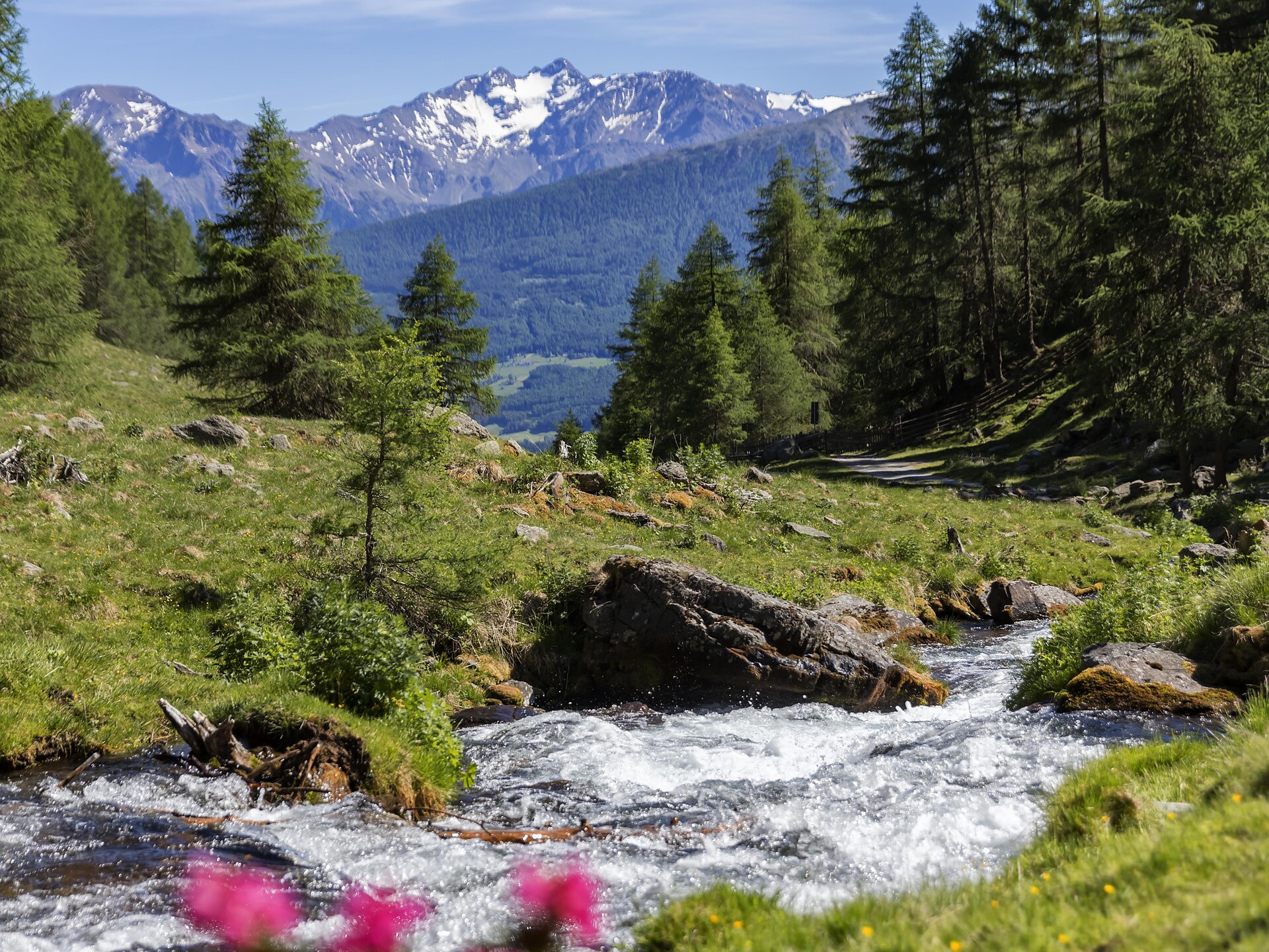 On Quiet Paths – Hike along the Neuwaal into the Schlandraun Valley - Vinschgau/Val Venosta - #1 - suedtirol.info