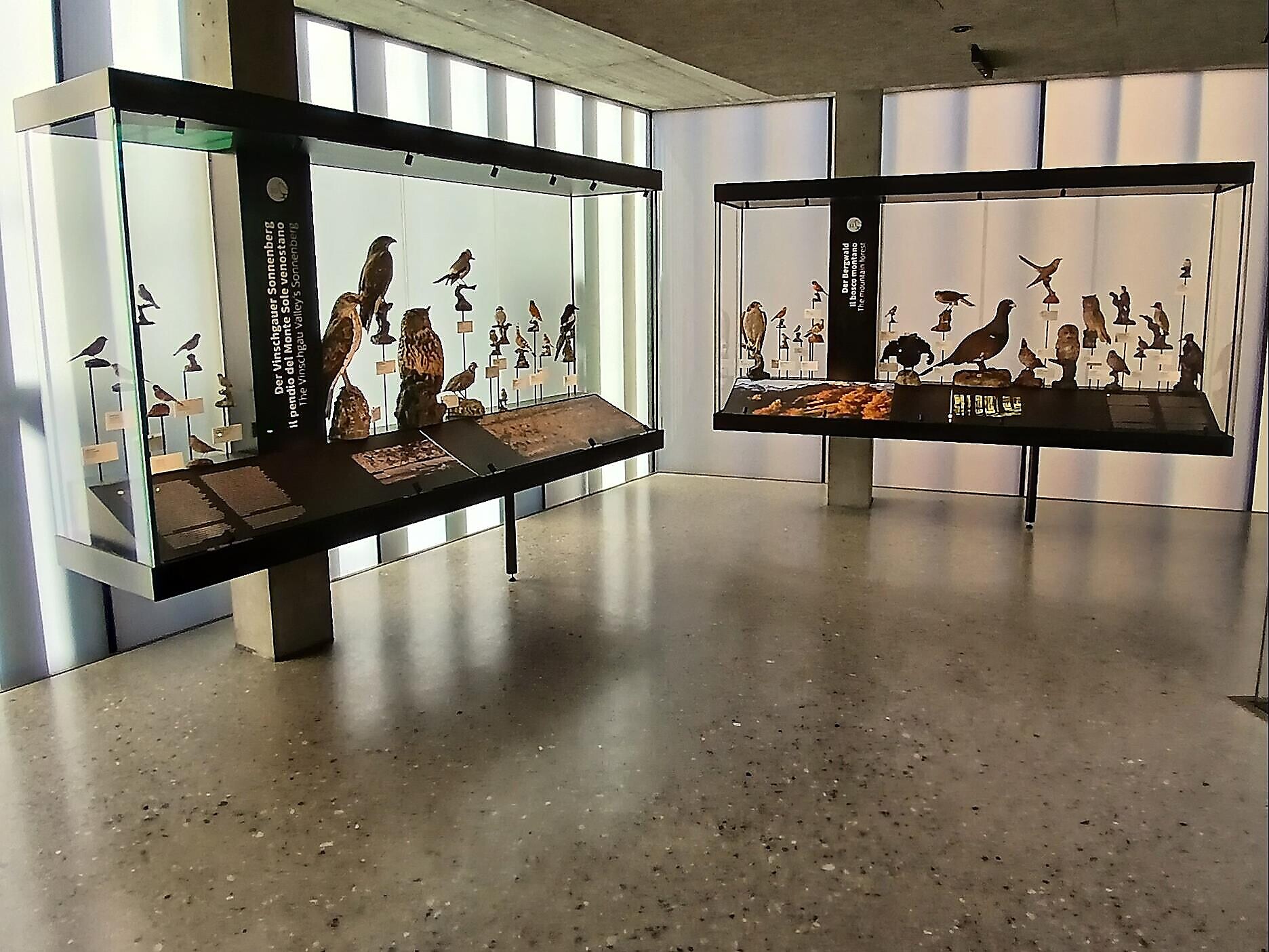 avimundus - Il mondo degli uccelli nel Parco Nazionale dello Stelvio - Val Venosta - #2 - suedtirol.info