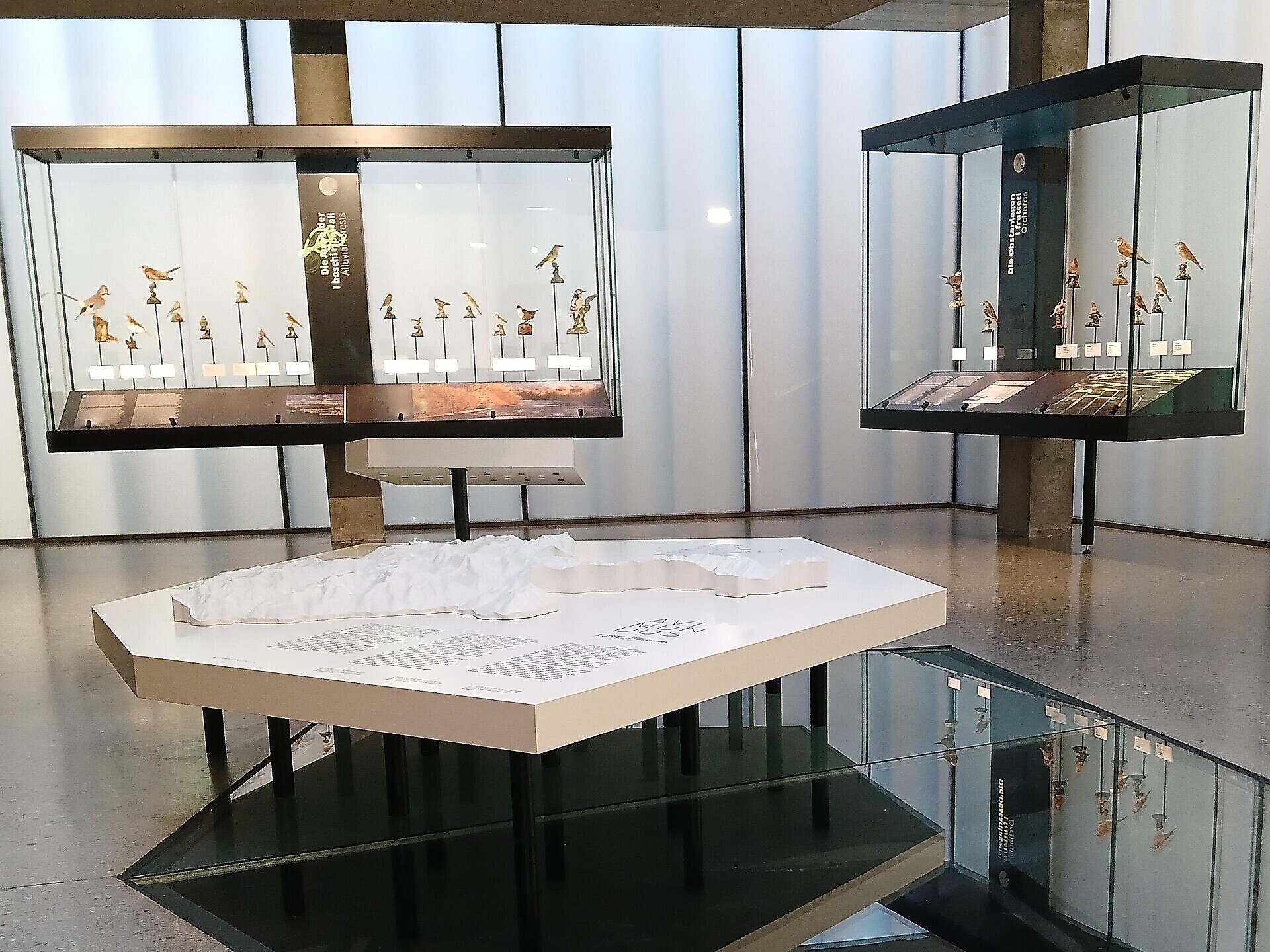 avimundus - Il mondo degli uccelli nel Parco Nazionale dello Stelvio - Val Venosta - #3 - suedtirol.info