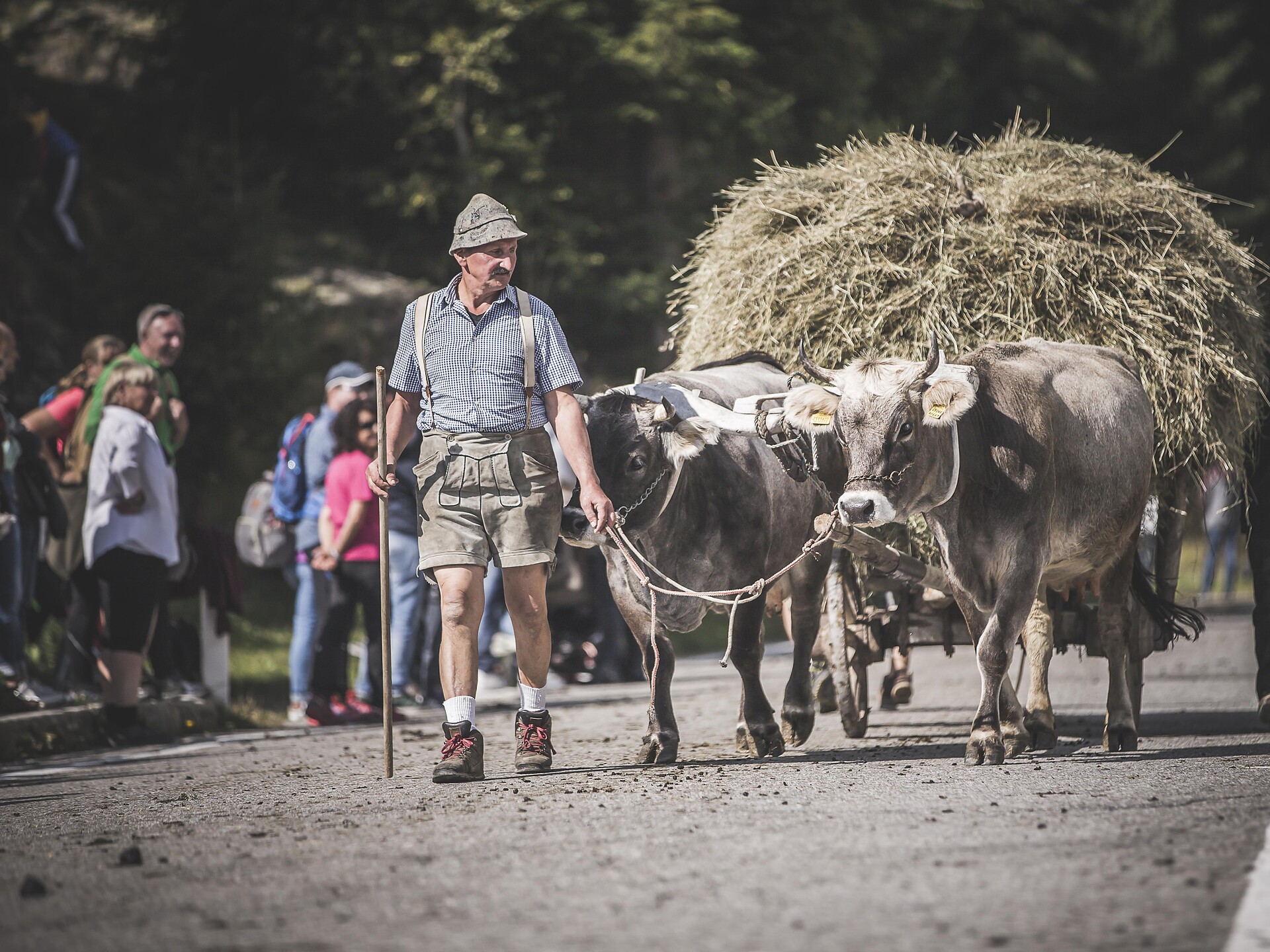 Alpine pasture drive in Ridnaun/Ridanna Ratschings/Racines 2 suedtirol.info