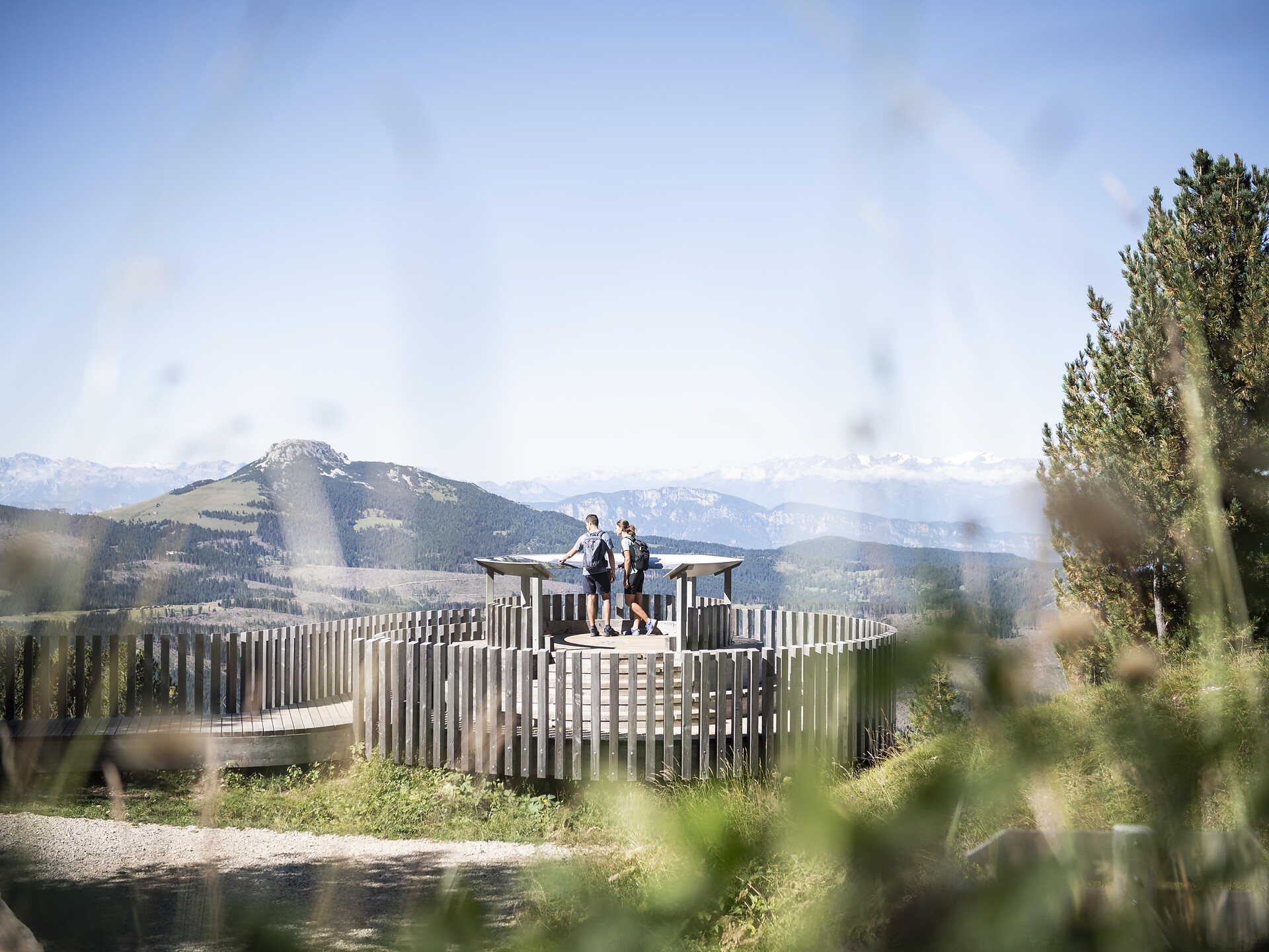 Attraverso l'alta via del Latemar - Regione dolomitica Val d'Ega - #1 - suedtirol.info