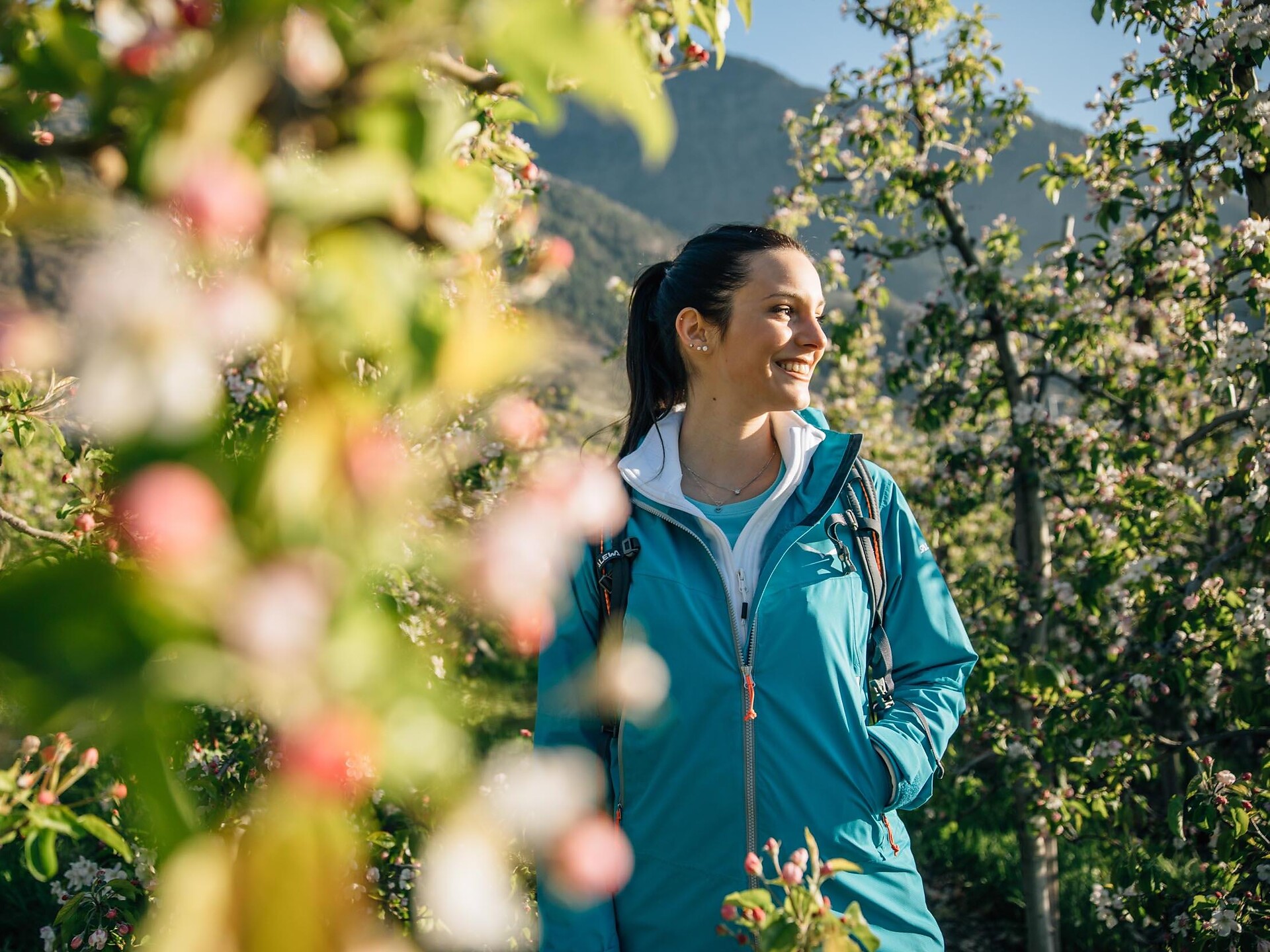 Algunder Apfellehrpfad  durch die blühenden Algunder Obstwiesen - Meran und Umgebung - #2 - suedtirol.info