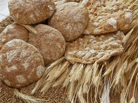 Rifiorire sull'altipiano soleggiato - dal grano al pane Renon 2 suedtirol.info