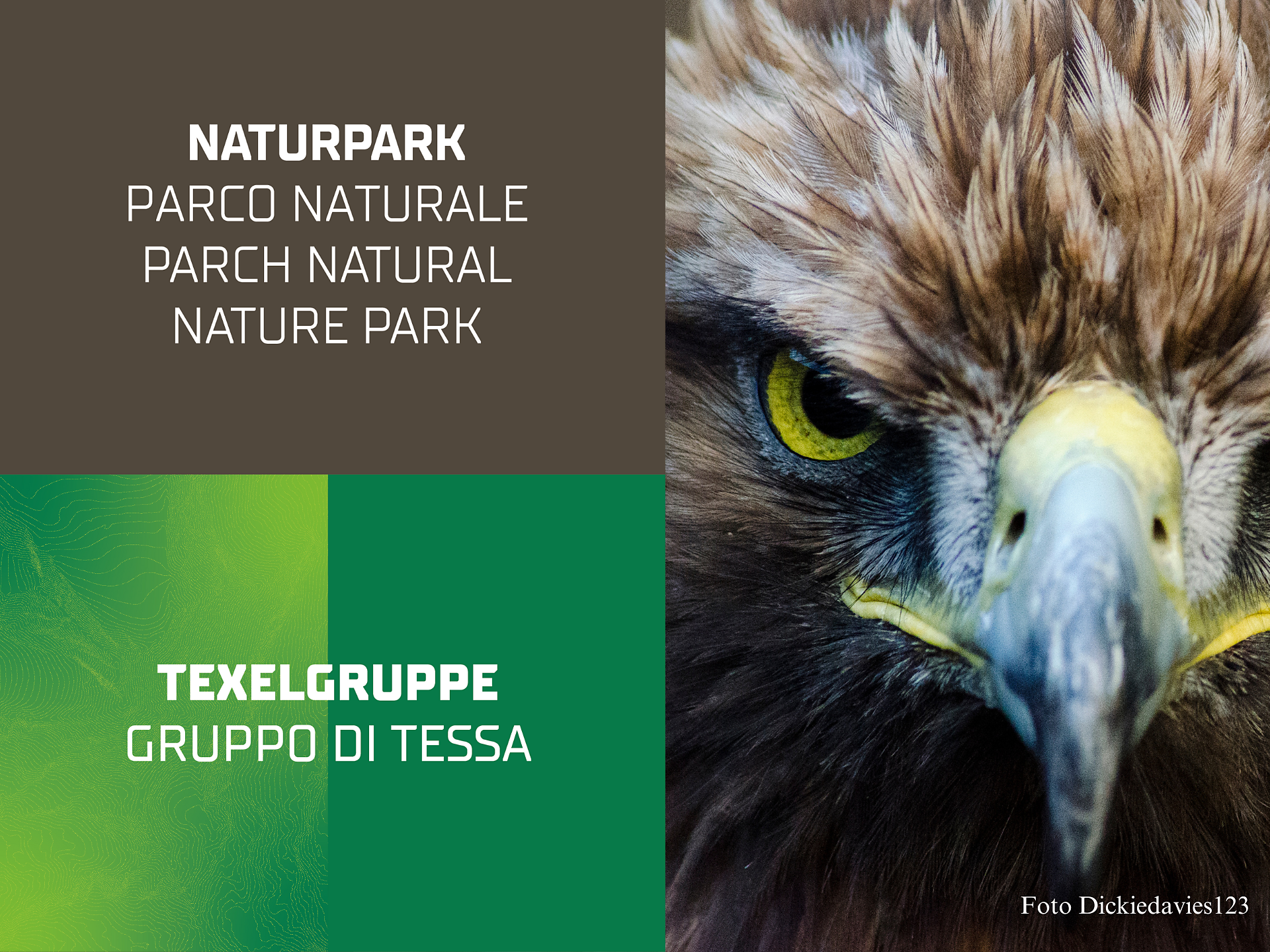 Aug' in Aug' mit dem Steinadler | Familienwanderung - Meran und Umgebung - #1 - suedtirol.info