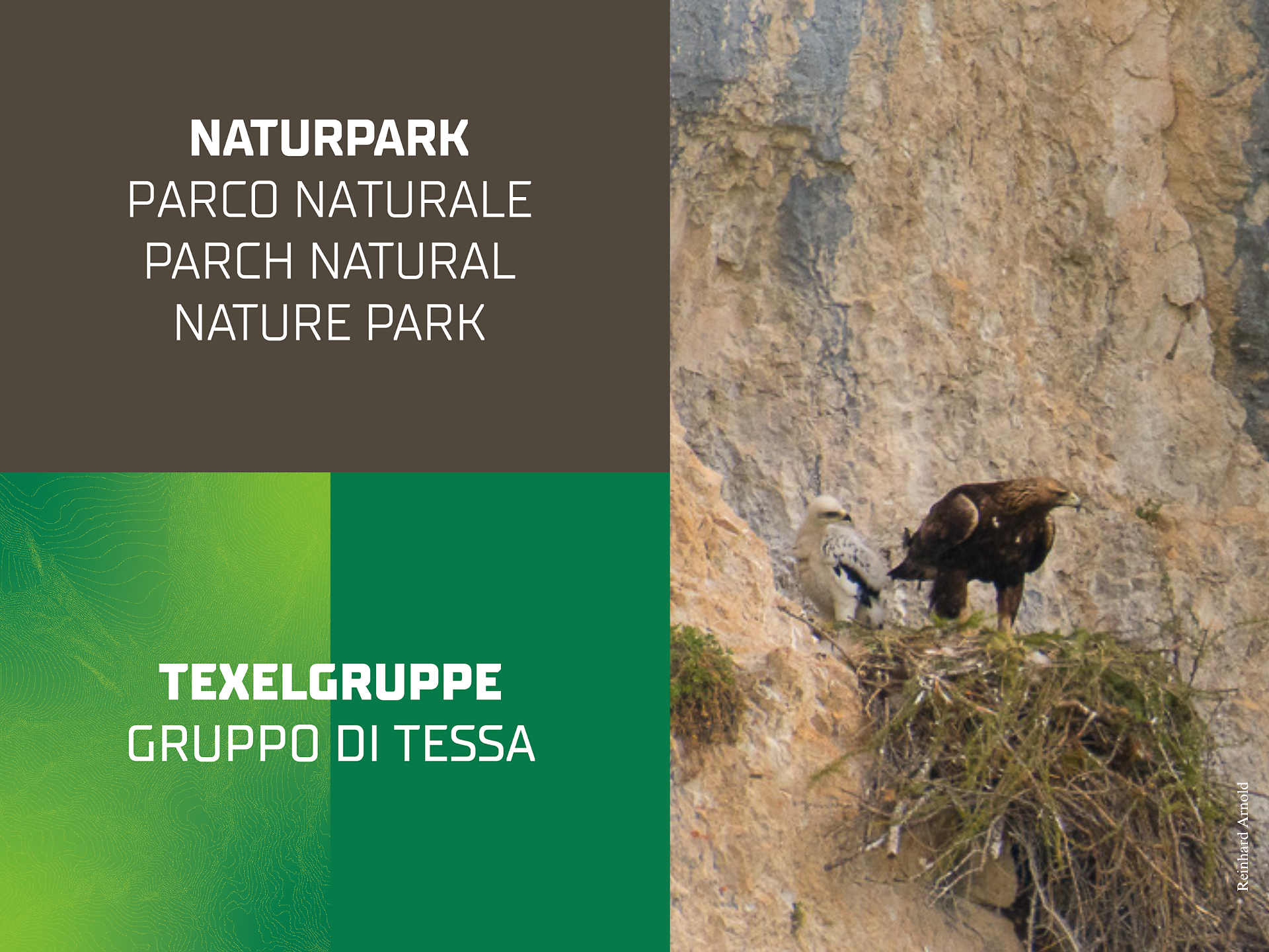Aug' in Aug' mit dem Steinadler | Familienwanderung - Meran und Umgebung - #2 - suedtirol.info