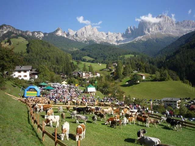 Traditional mountain meadow at Tiers am Rosengarten Tiers am Rosengarten/Tires al Catinaccio 2 suedtirol.info