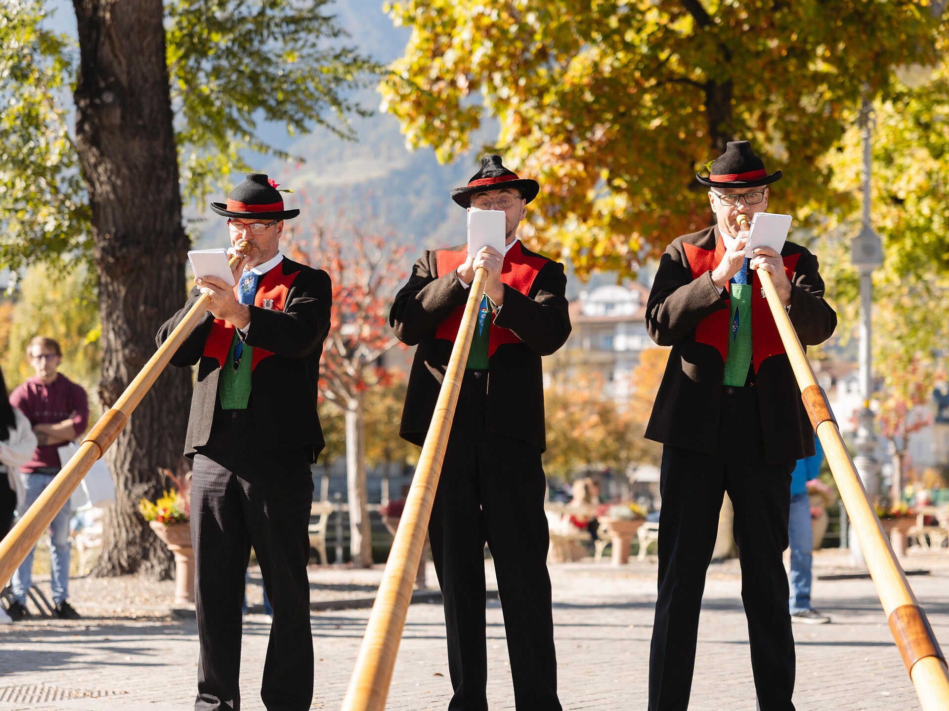Alphornbläser Gargazon - Meran und Umgebung - #1 - suedtirol.info