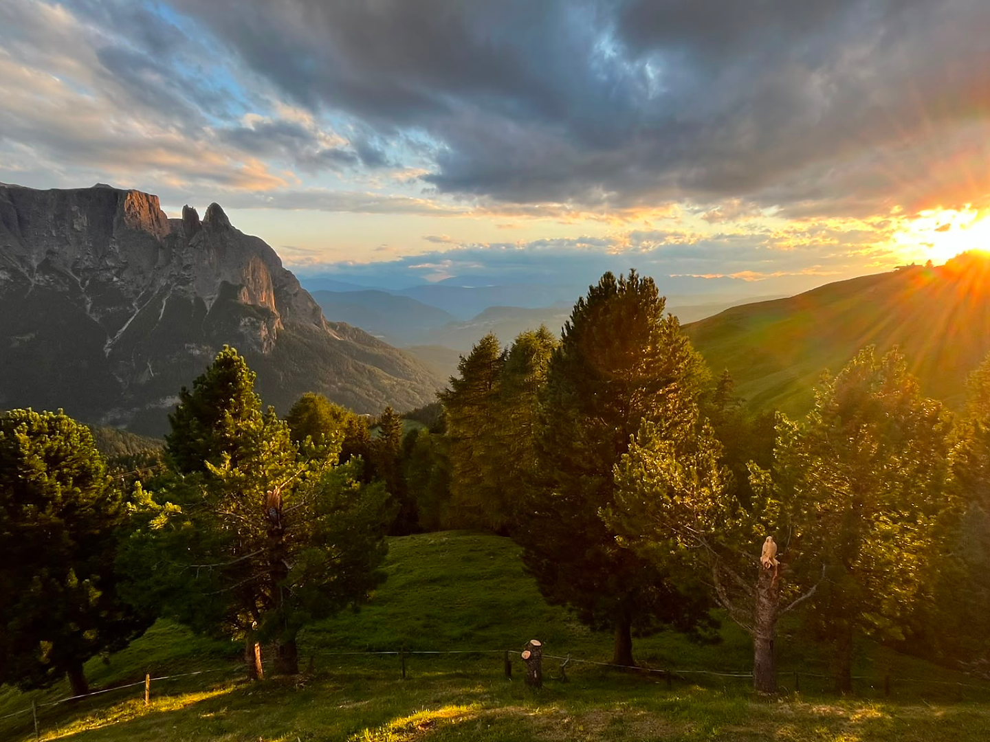 Lunch & Music con DJ alla Dibaita - Regione dolomitica Alpe di Siusi - #2 - suedtirol.info
