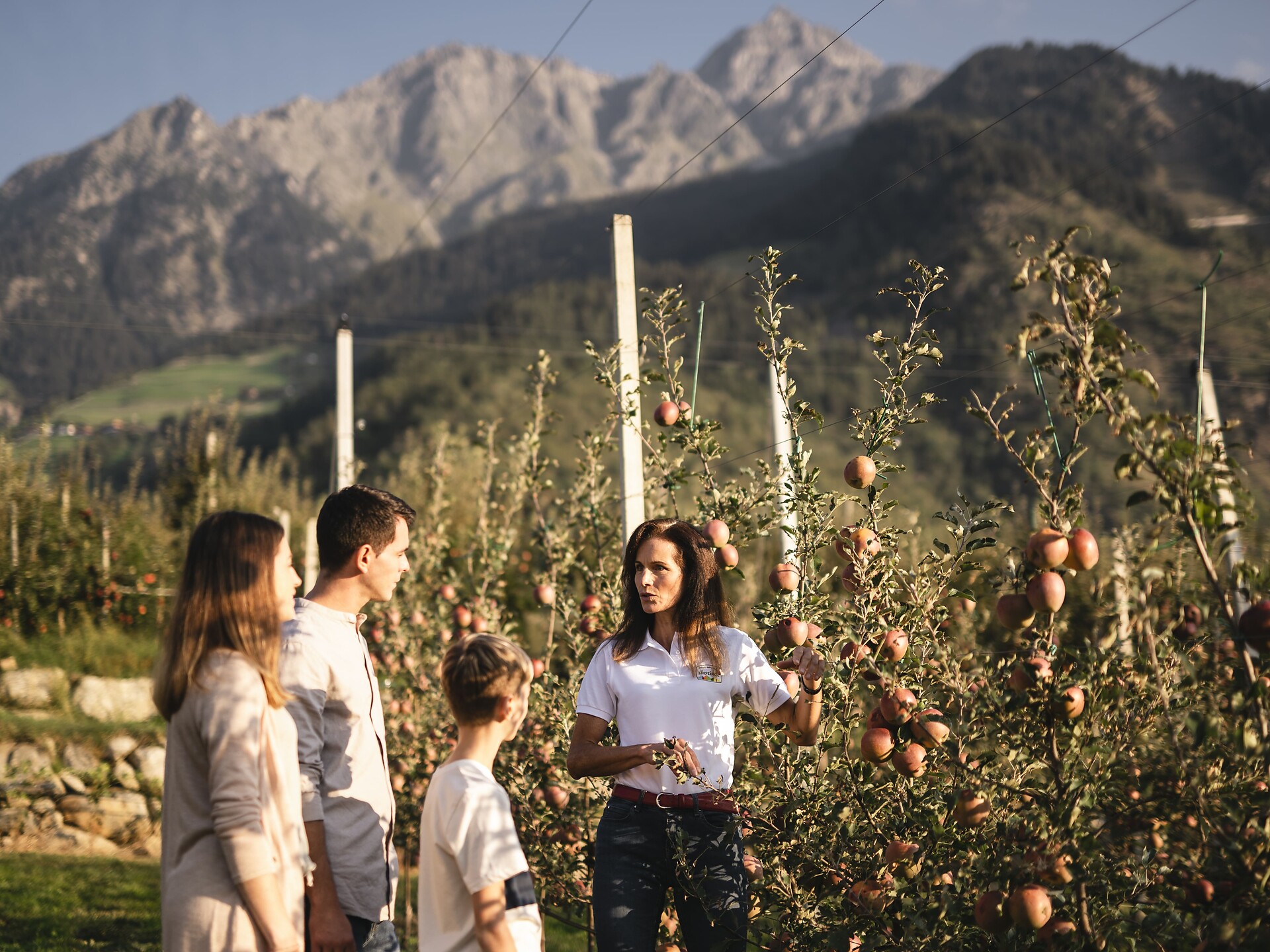 La mela nel bicchiere – Una degustazione comparativa sensoriale - Merano e dintorni - #2 - suedtirol.info