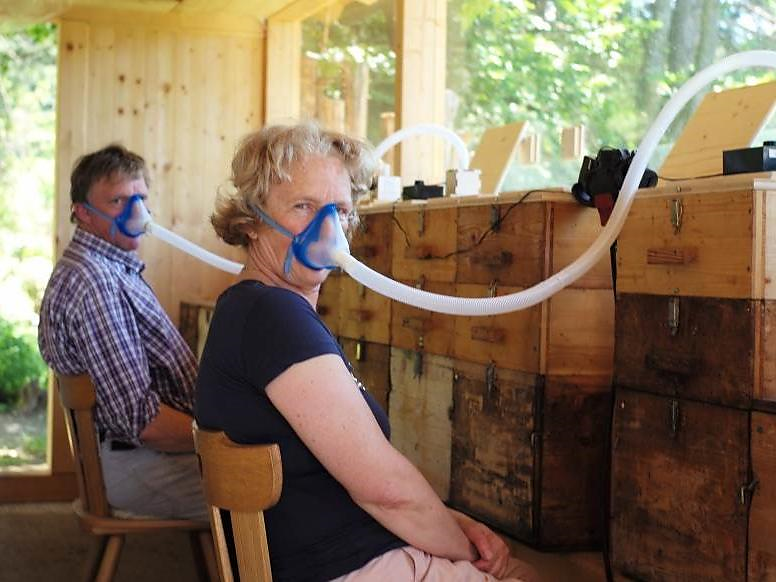 ApiWellness Renon 3 suedtirol.info