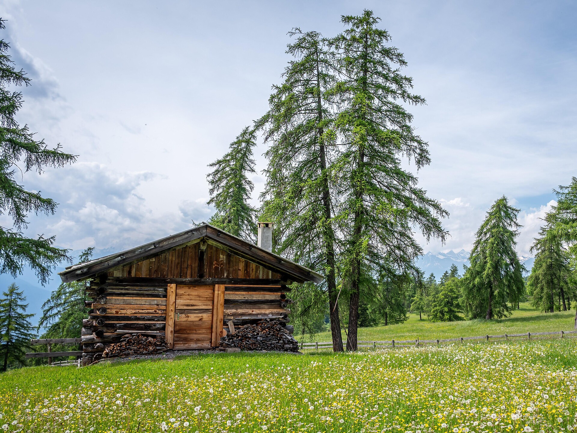 Auf den Spuren der Lärchenwiesen am Salten - Bozen und Umgebung - #1 - suedtirol.info
