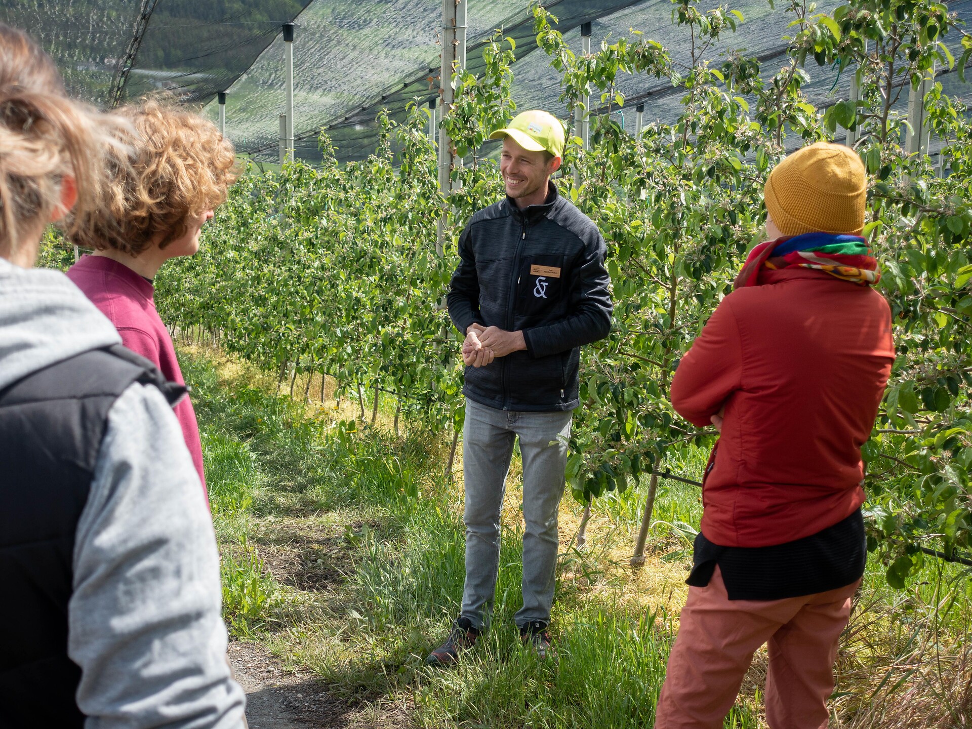 Tempo delle mele al maso Steidacherhof Renon 3 suedtirol.info
