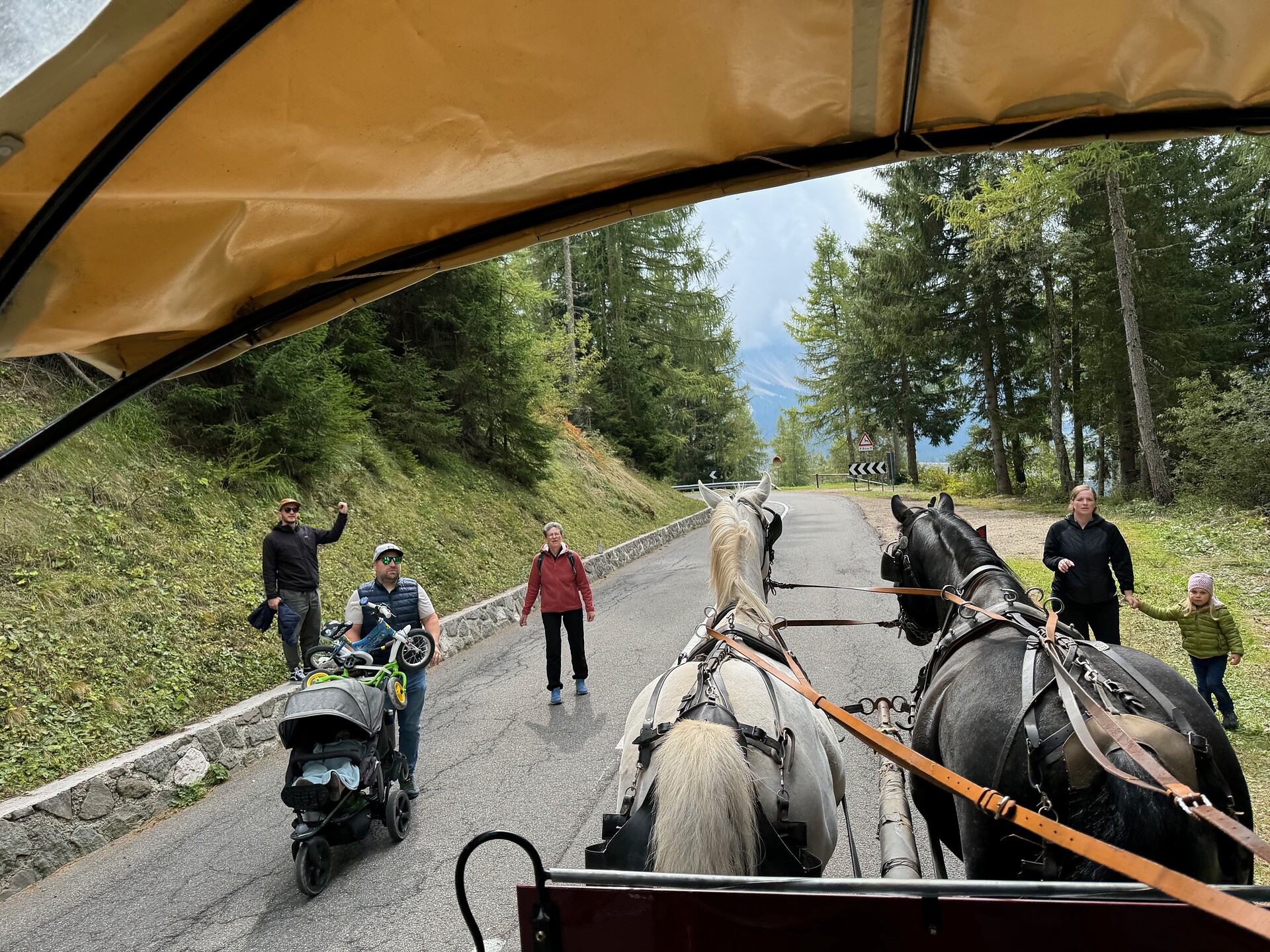 Domenica senz’auto lungo la via Nigra a Carezza - Regione dolomitica Alpe di Siusi - #3 - suedtirol.info