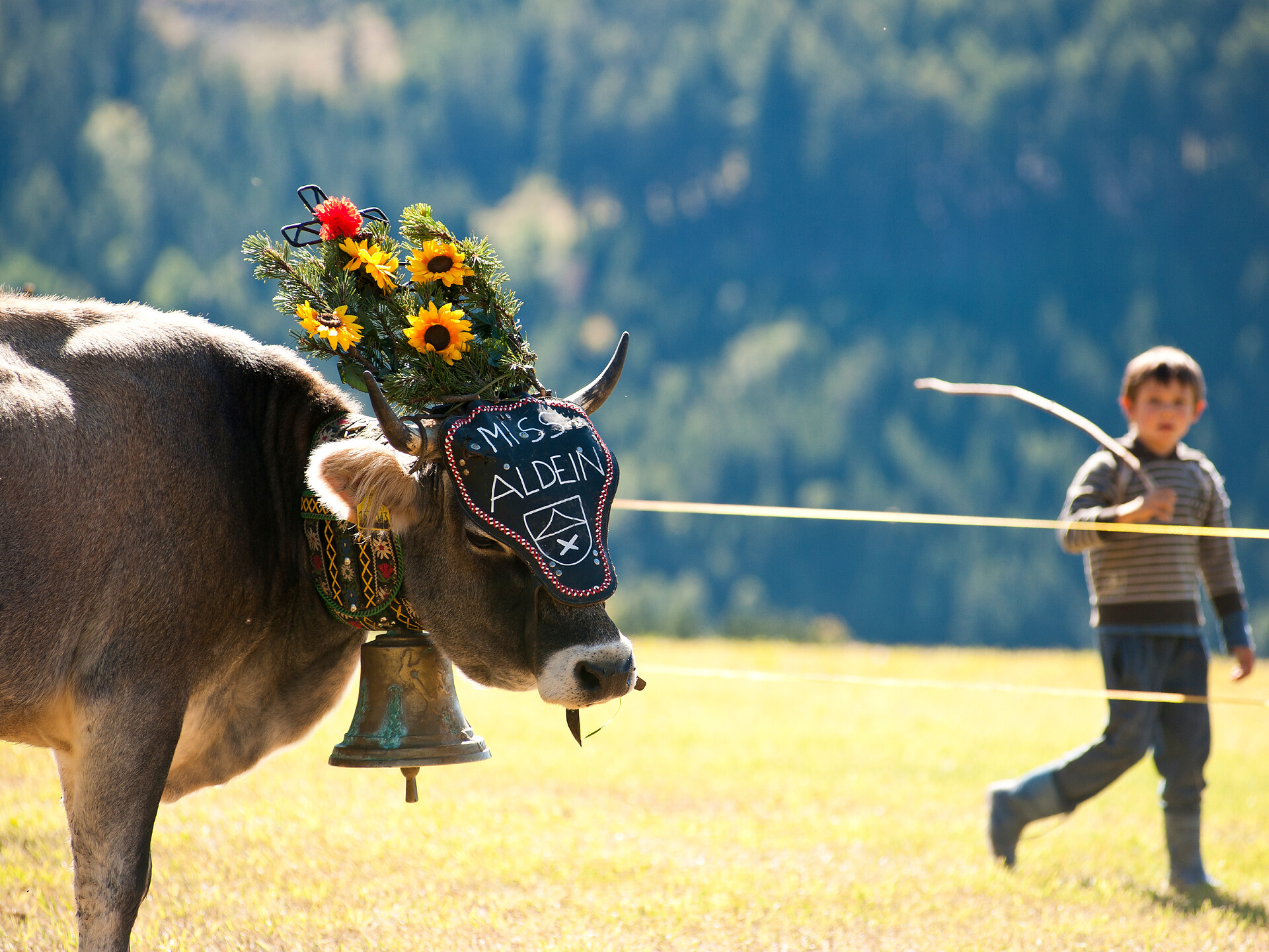 alpine pasture drive in Aldein/Aldino -  - #2 - suedtirol.info