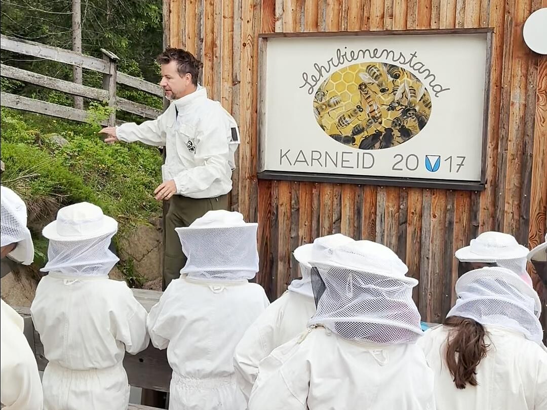 Avventura Bosco delle Api - Sulle tracce delle api mellifere e selvatiche - Regione dolomitica Val d'Ega - #3 - suedtirol.info