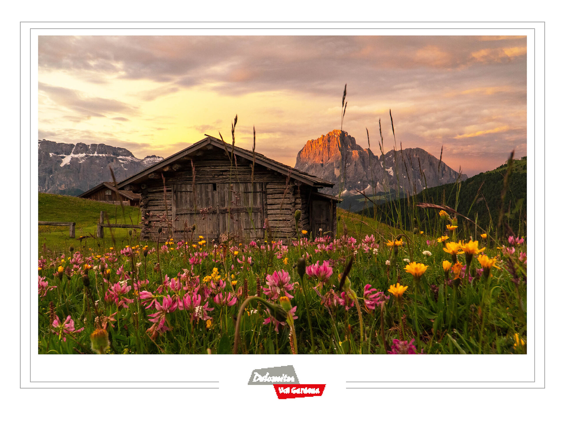 Mostra del concorso fotografico "Flora e fauna in Val Gardena" Selva 1 suedtirol.info
