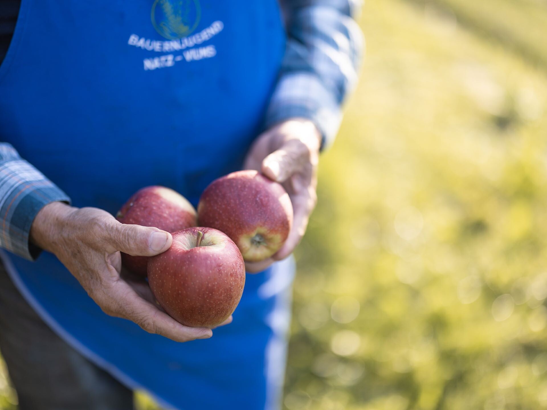 Apfelblütenwanderung - Brixen und Umgebung - #2 - suedtirol.info
