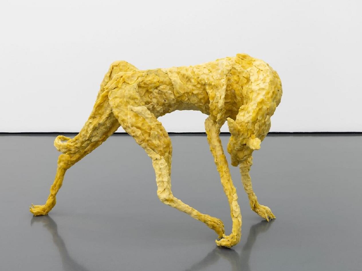 Ausstellung: Animacies - Meran und Umgebung - #1 - suedtirol.info