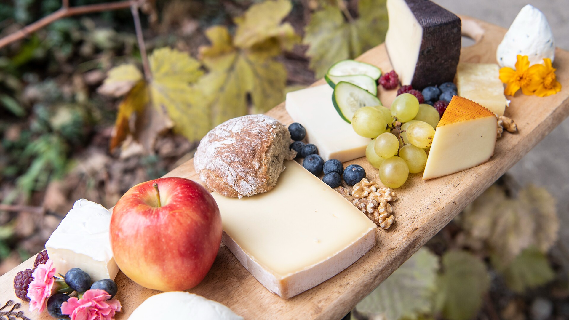 Alles Käse oder was? - Käseverkostung der besonderen Art - Meran und Umgebung - #1 - suedtirol.info