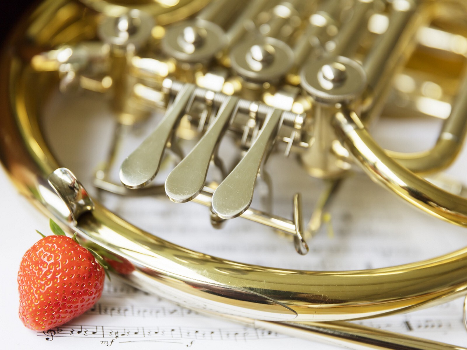Concerto serale della banda musicale Corzes - Val Venosta - #1 - suedtirol.info