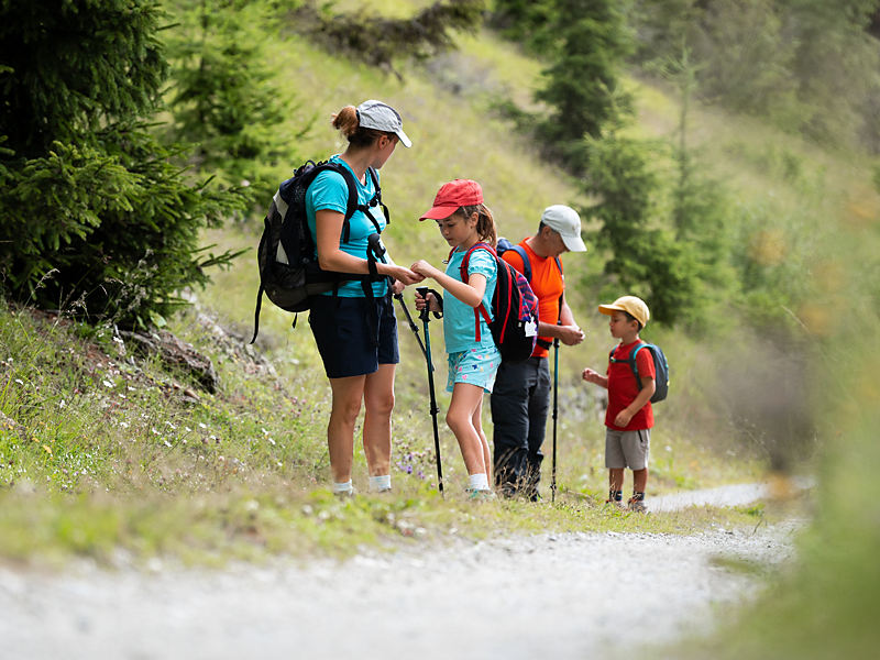 Almwanderung for family Stilfs 3 suedtirol.info