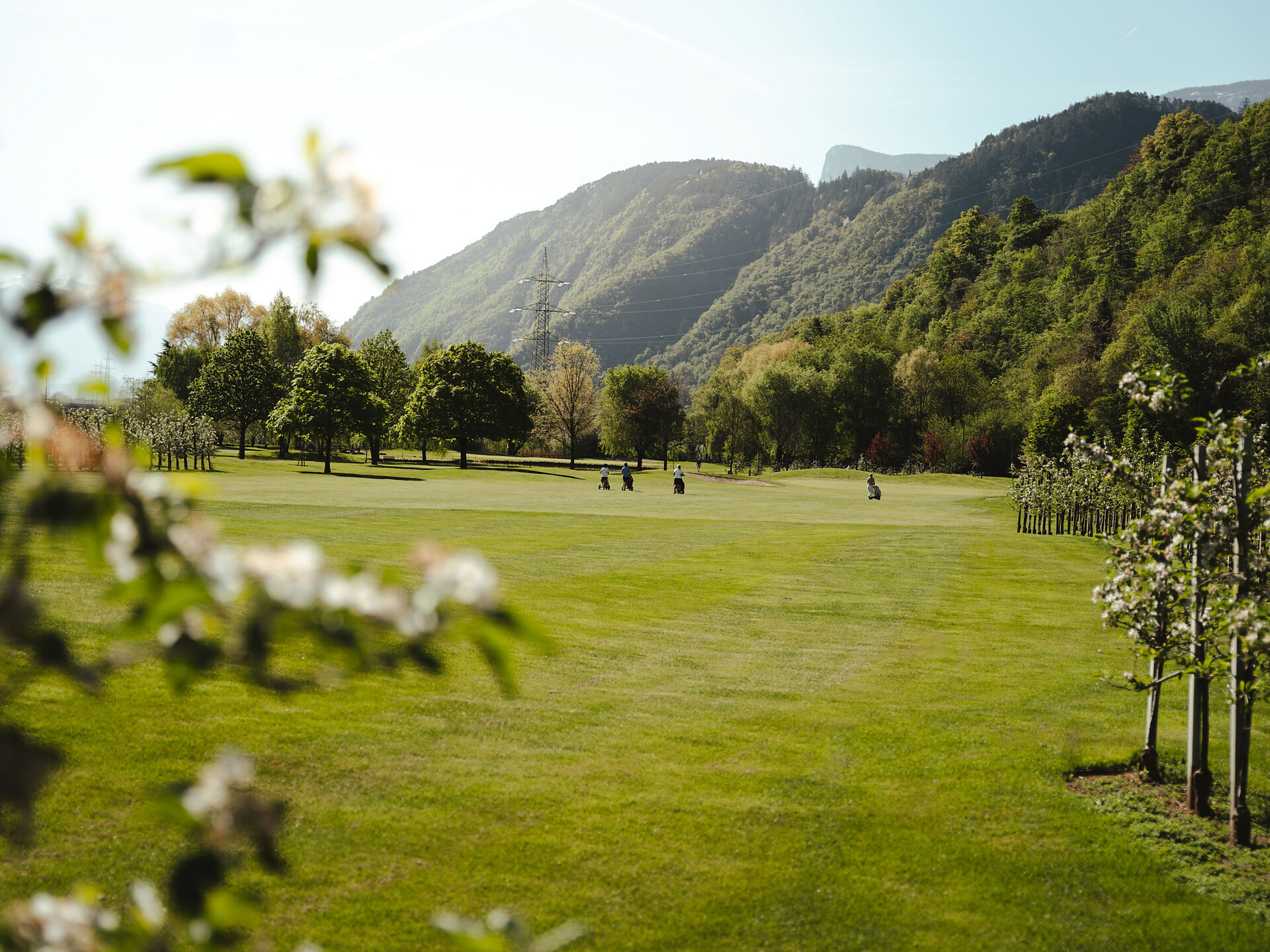 Apple blossom Golf tournament - Lana blüht 2027 - Meran/Merano and environs - #1 - suedtirol.info