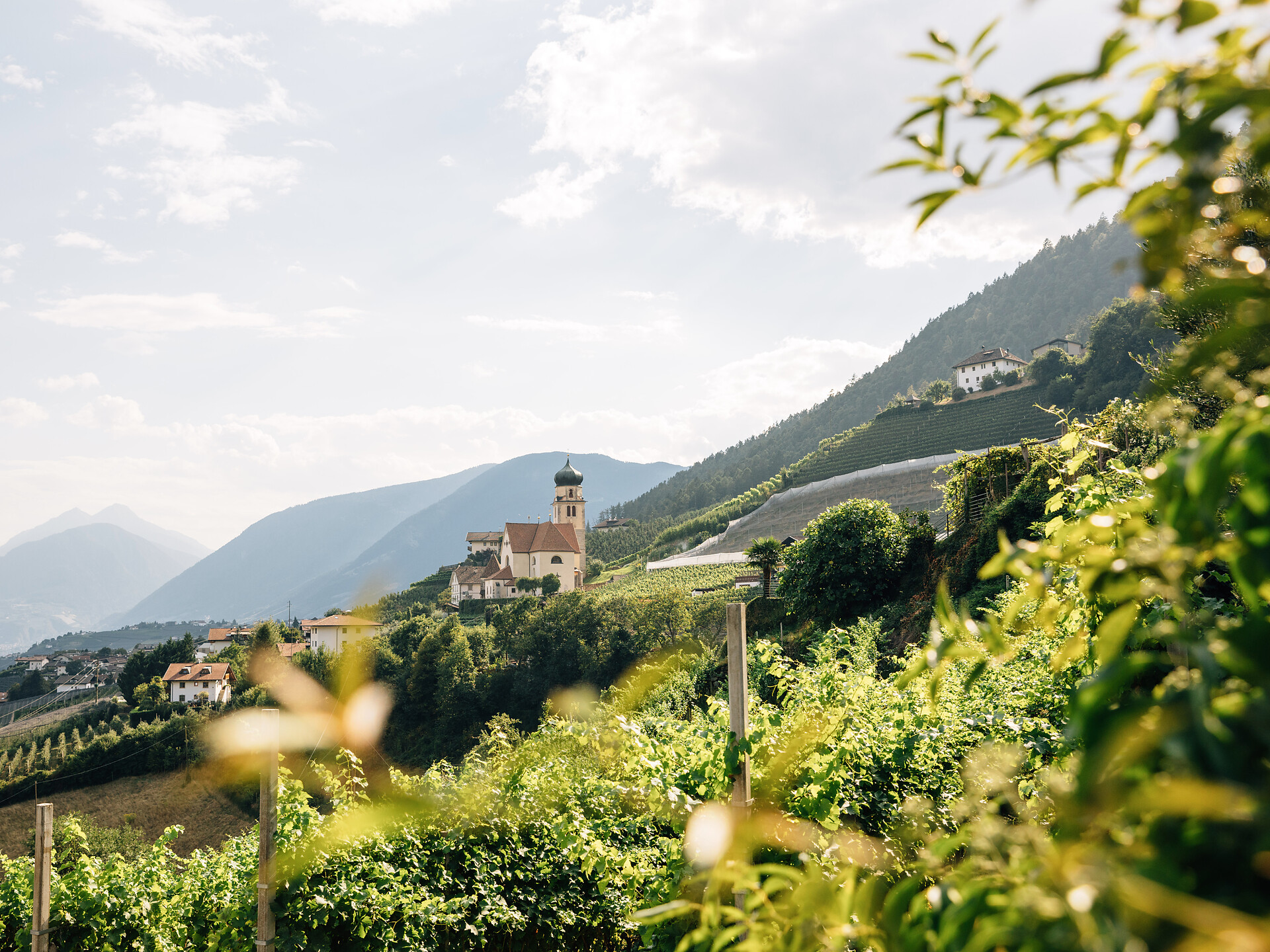 Abendkonzert der Musikkapelle Riffian - Meran und Umgebung - #2 - suedtirol.info