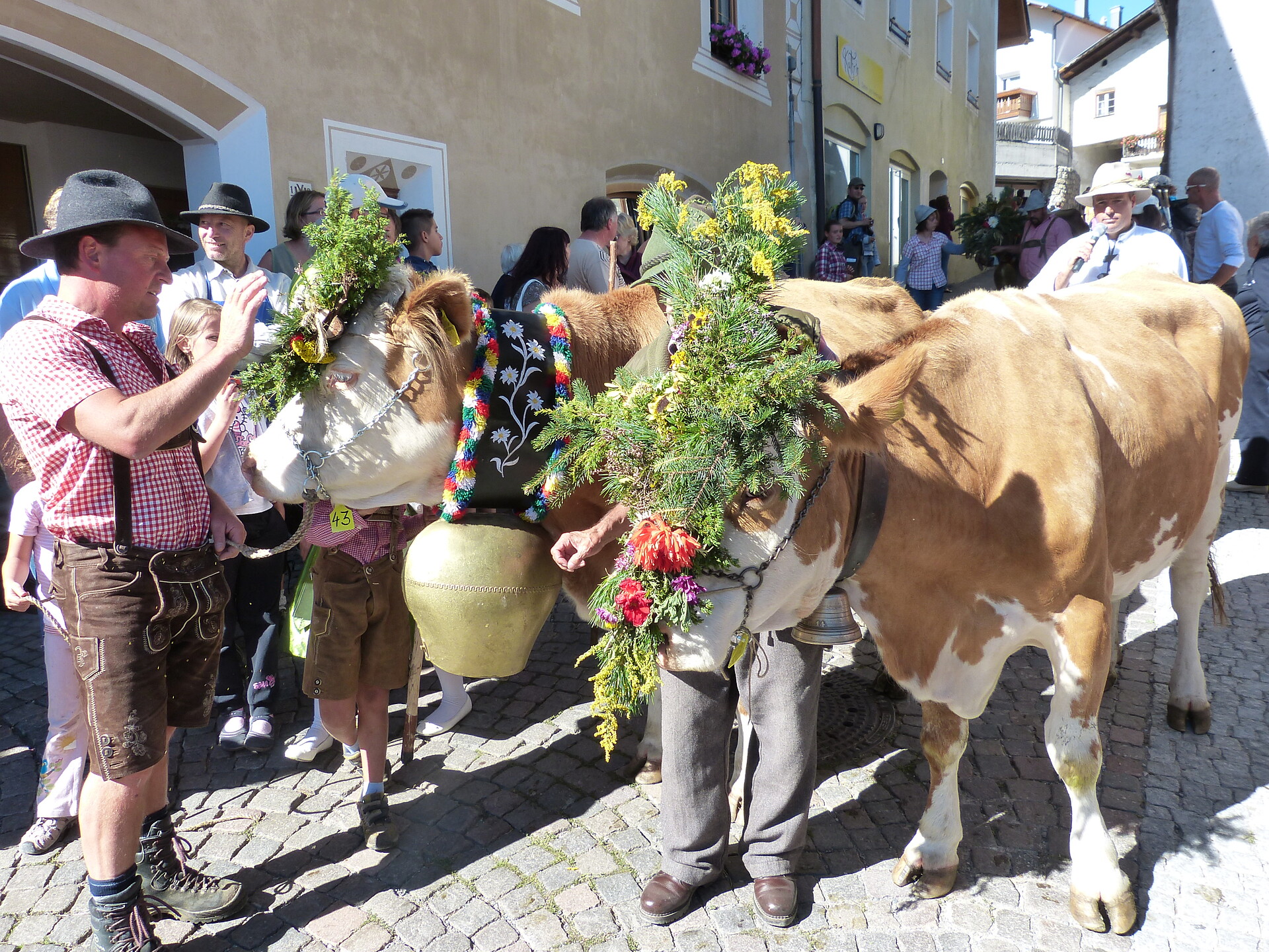 Almabtrieb in Burgeis - Vinschgau - #1 - suedtirol.info