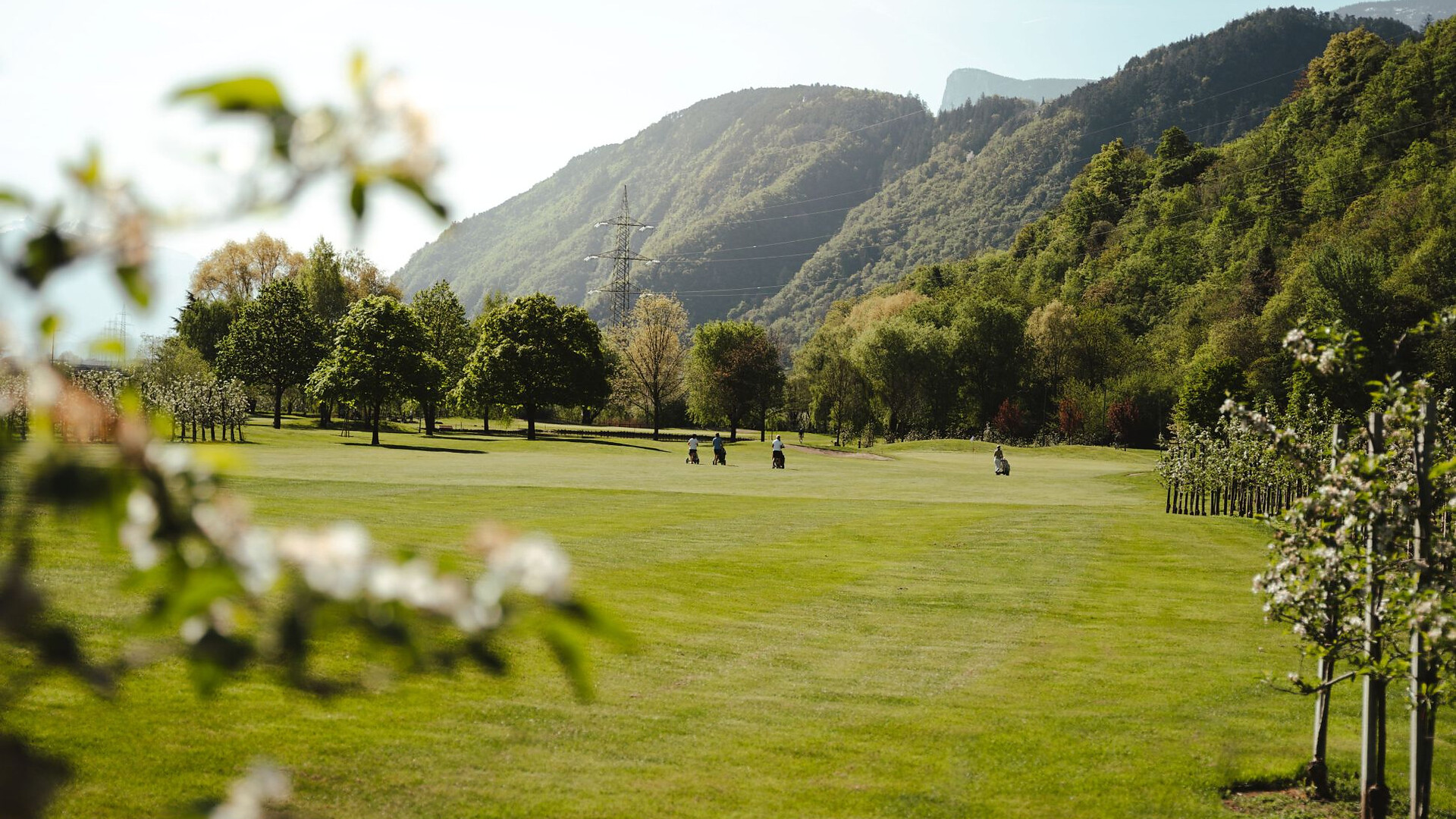 Apfelblüten Golfturnier - Lana blüht 2026 - Meran und Umgebung - #1 - suedtirol.info