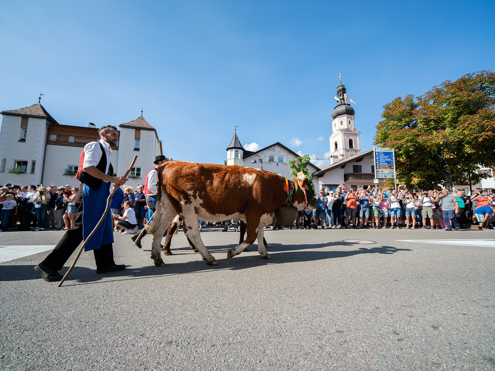 Traditional Transhumance - welcoming of the cattle Kastelruth/Castelrotto 3 suedtirol.info