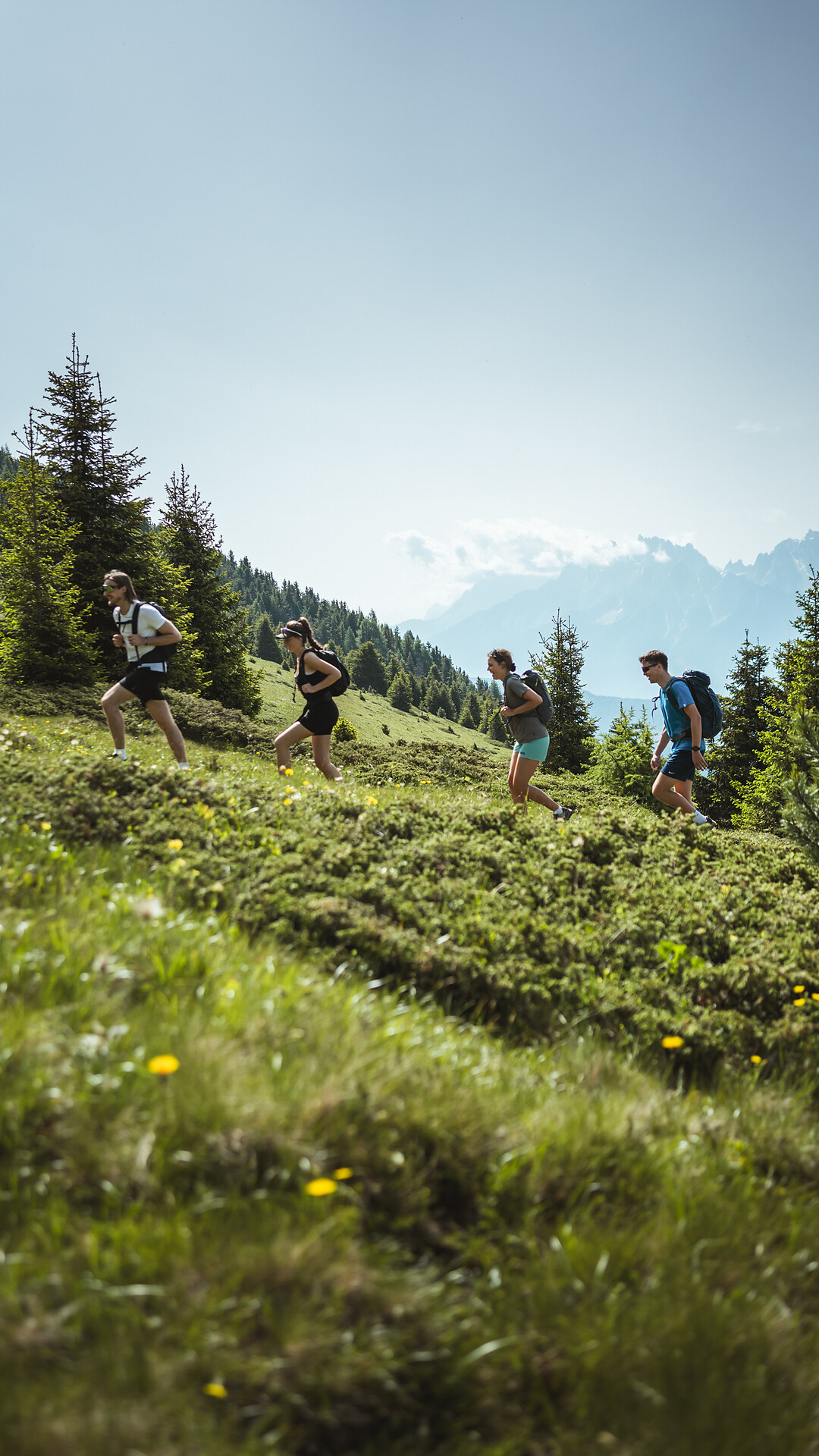 Cima panoramica Lutterkopf 2145 m a Tesido -  - #2 - suedtirol.info