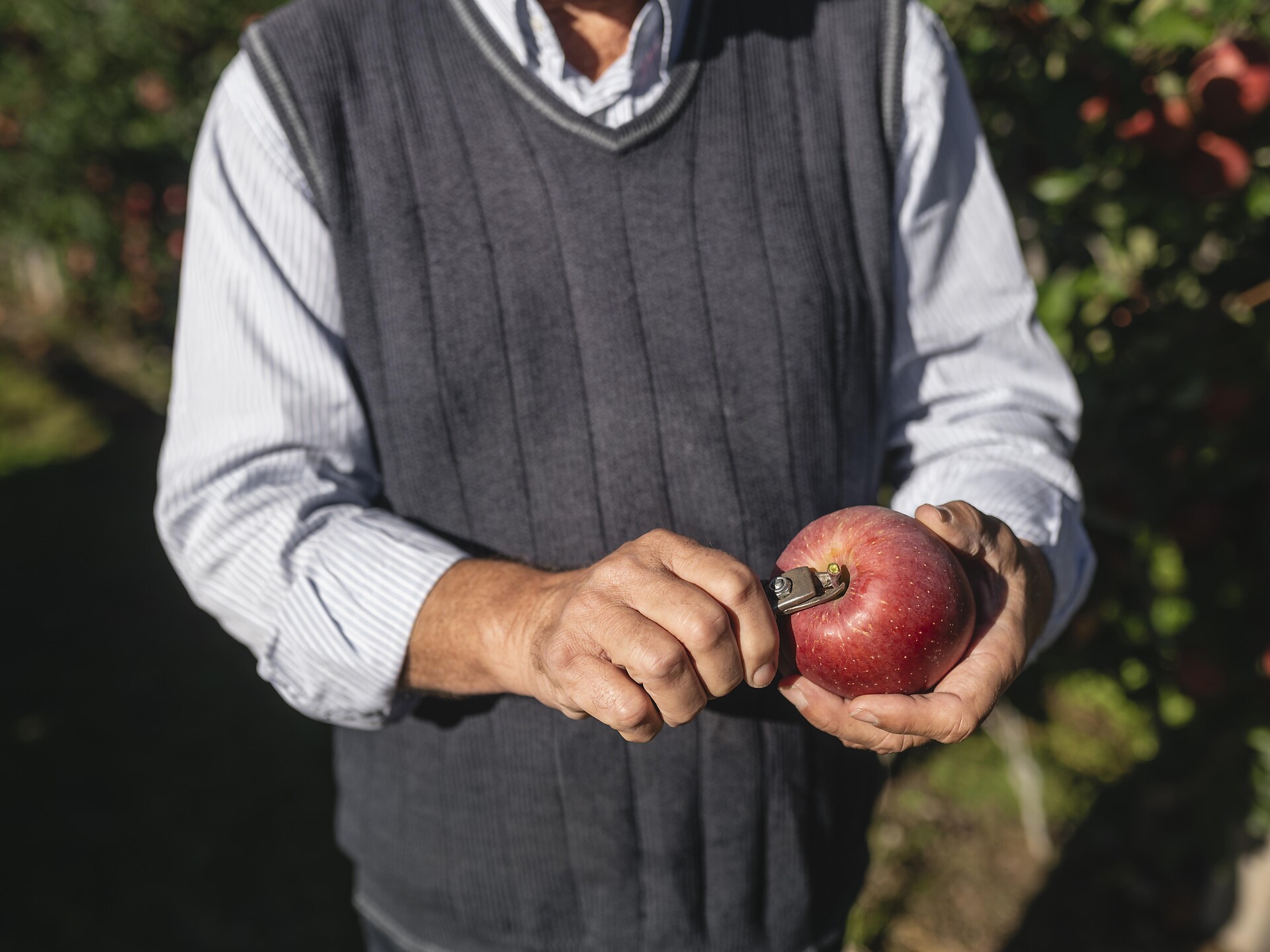 Guida ai frutteti con degustazione di mele a Cermes Cermes 3 suedtirol.info