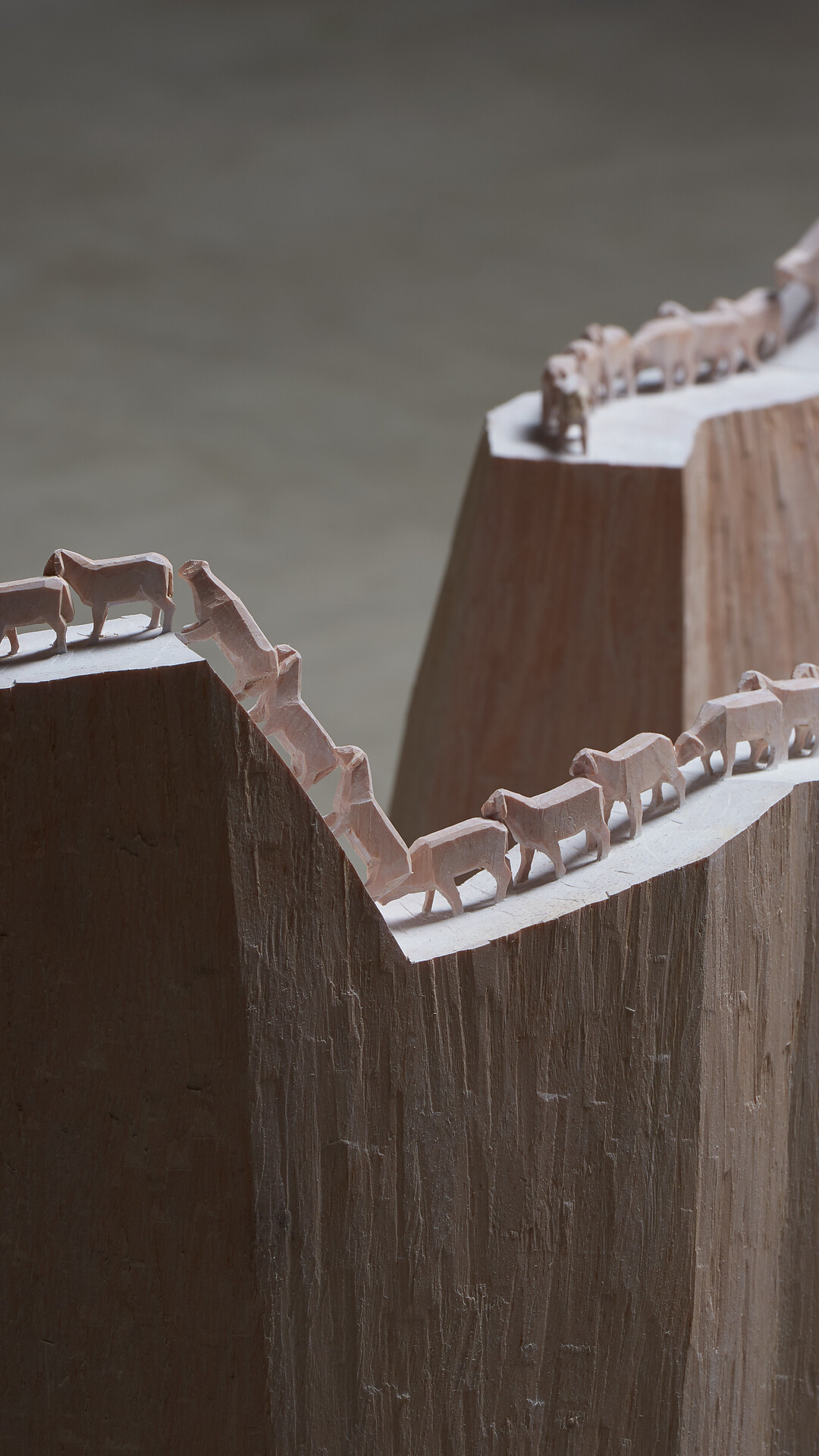 Mostra - Spazi e Paesaggi con Christian Piffrader - Regione dolomitica Alpe di Siusi - #1 - suedtirol.info