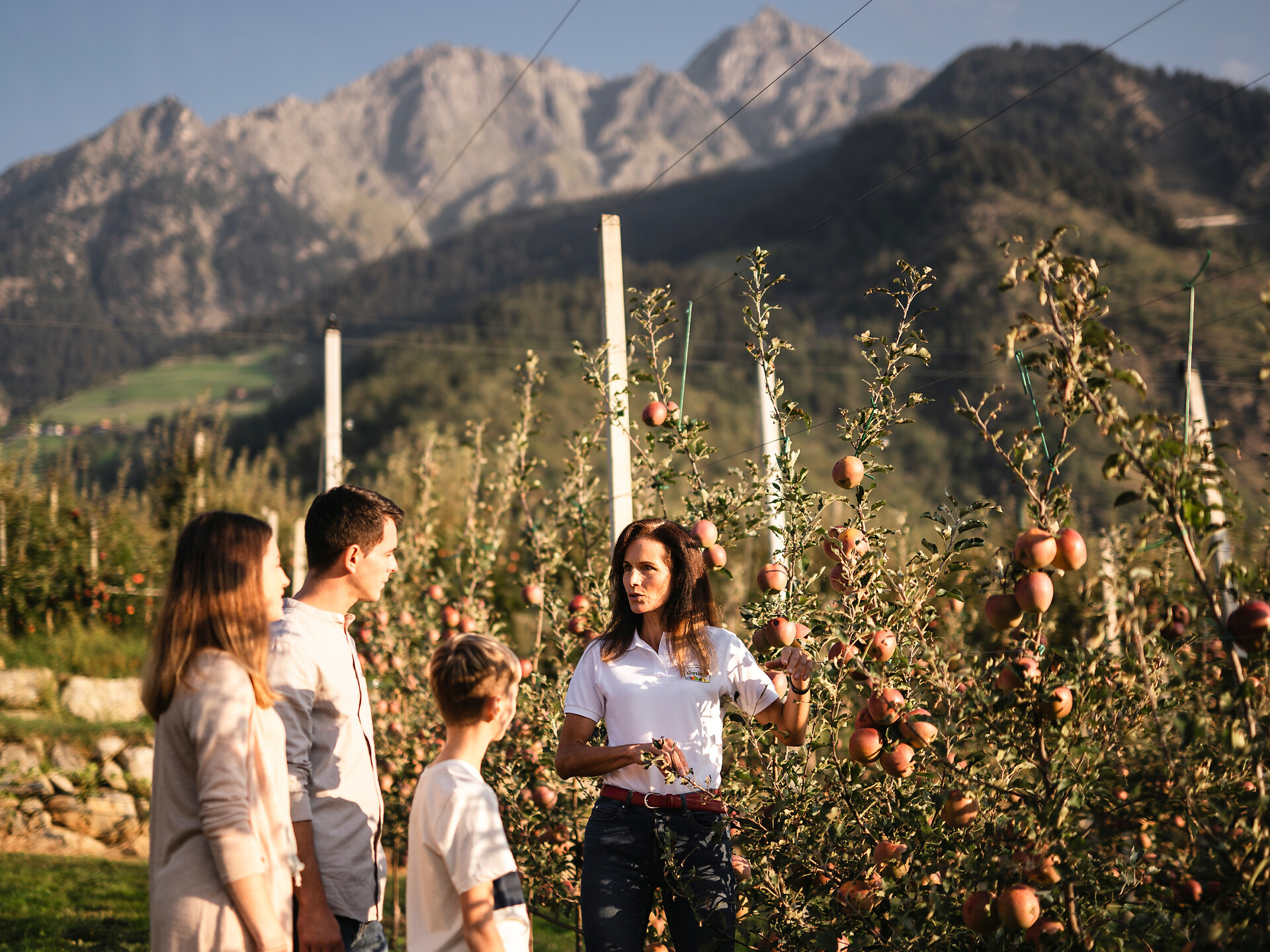 Visita guidata al meleto a Terlano - Strada del Vino - #2 - suedtirol.info
