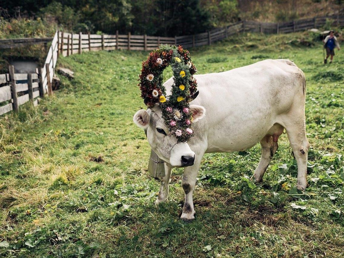 Festa della transumanza in Val Giovo - Vipiteno e dintorni - #2 - suedtirol.info