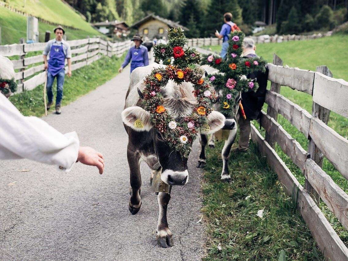 Festa della transumanza in Val Giovo - Vipiteno e dintorni - #1 - suedtirol.info