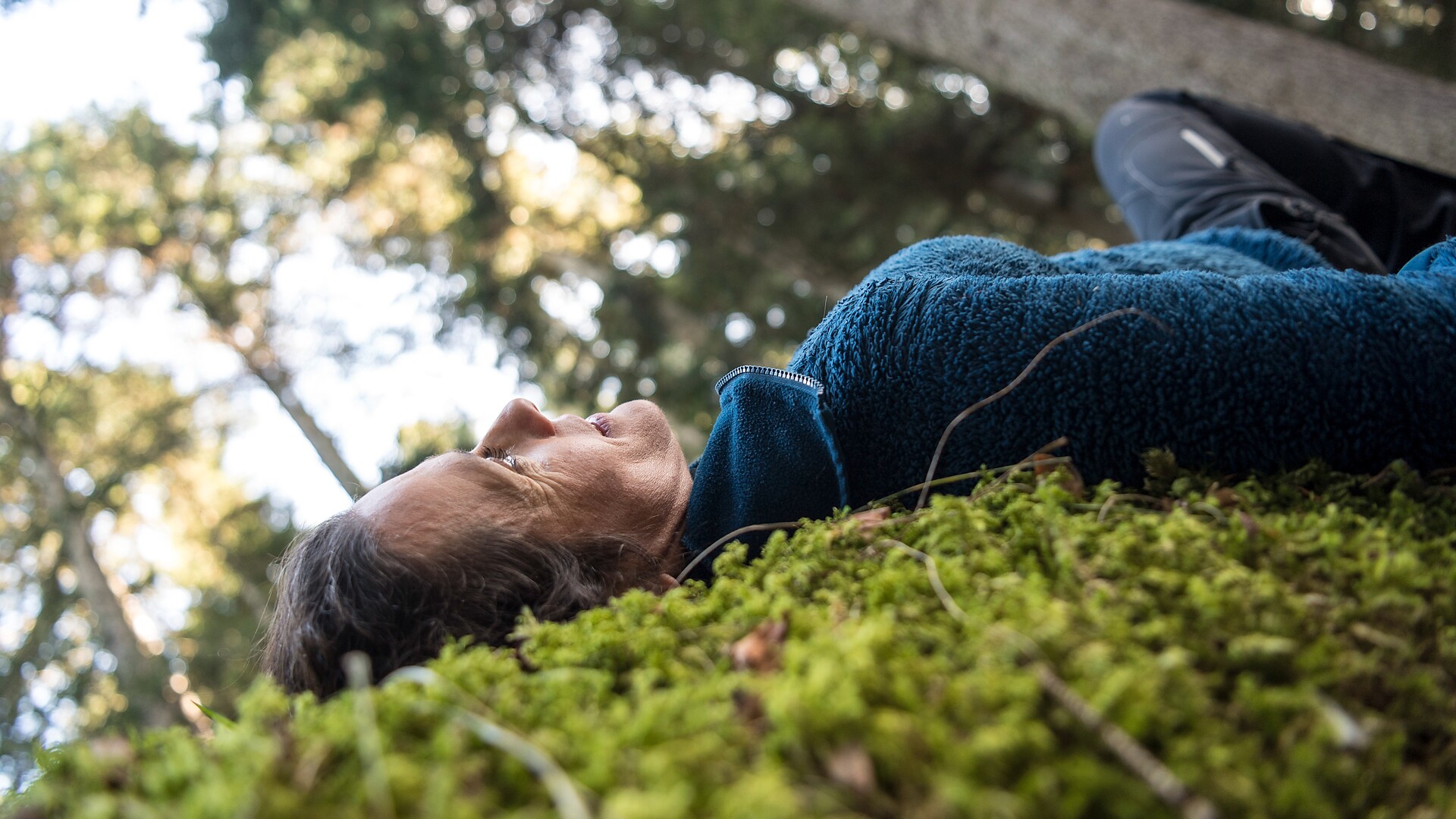 Bagno nella foresta alpina al luogo di forza - Merano e dintorni - #3 - suedtirol.info