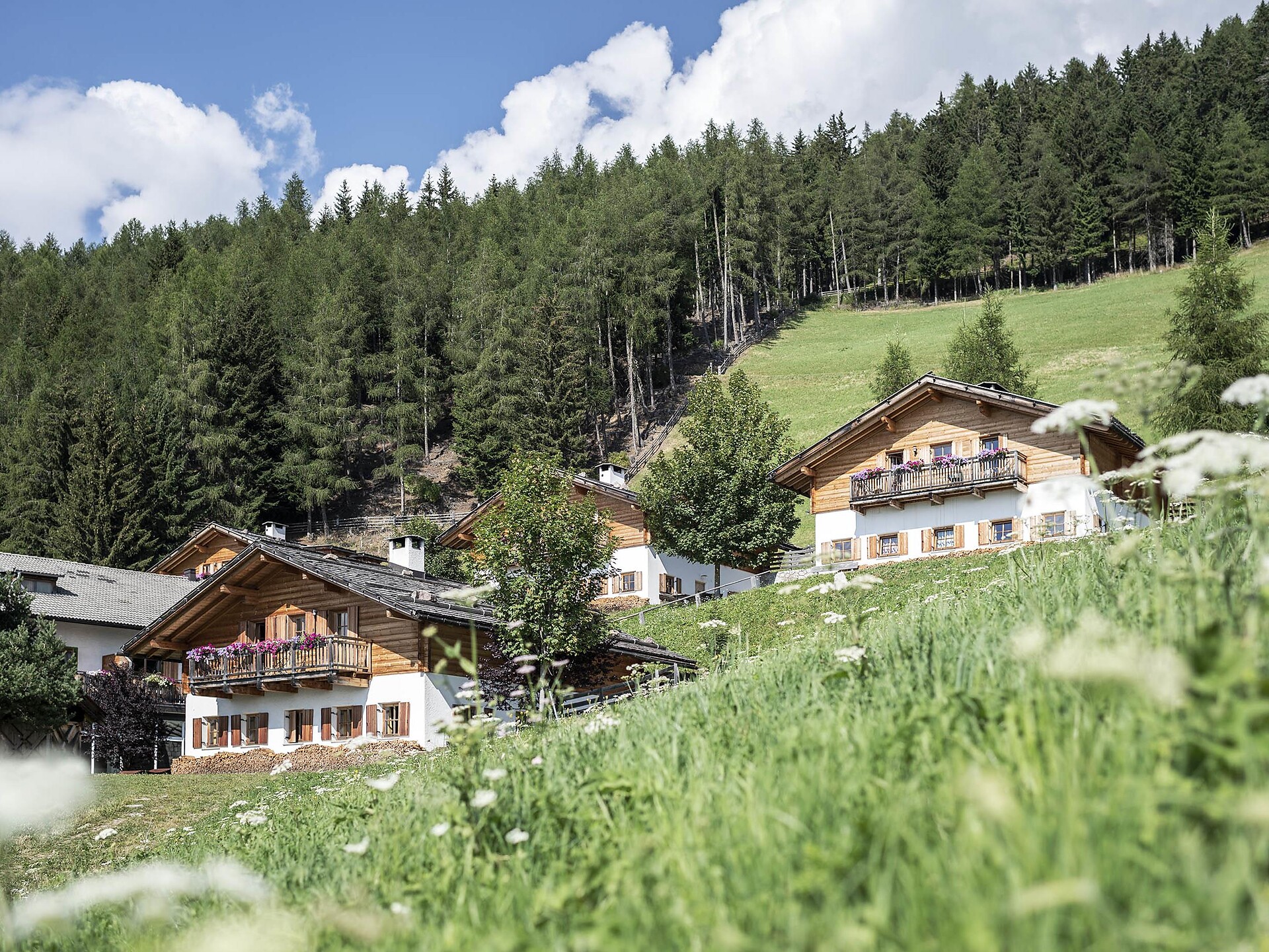After.Hike 1450 | Live Musik & Panorama auf der Taser Alm - Meran und Umgebung - #3 - suedtirol.info