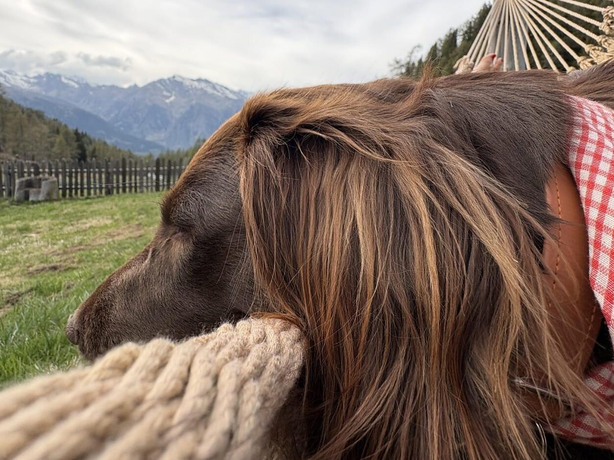 Auf der Alm in Balance – Bioresonanz für Mensch und Hund - Meran/Merano and environs - #1 - suedtirol.info