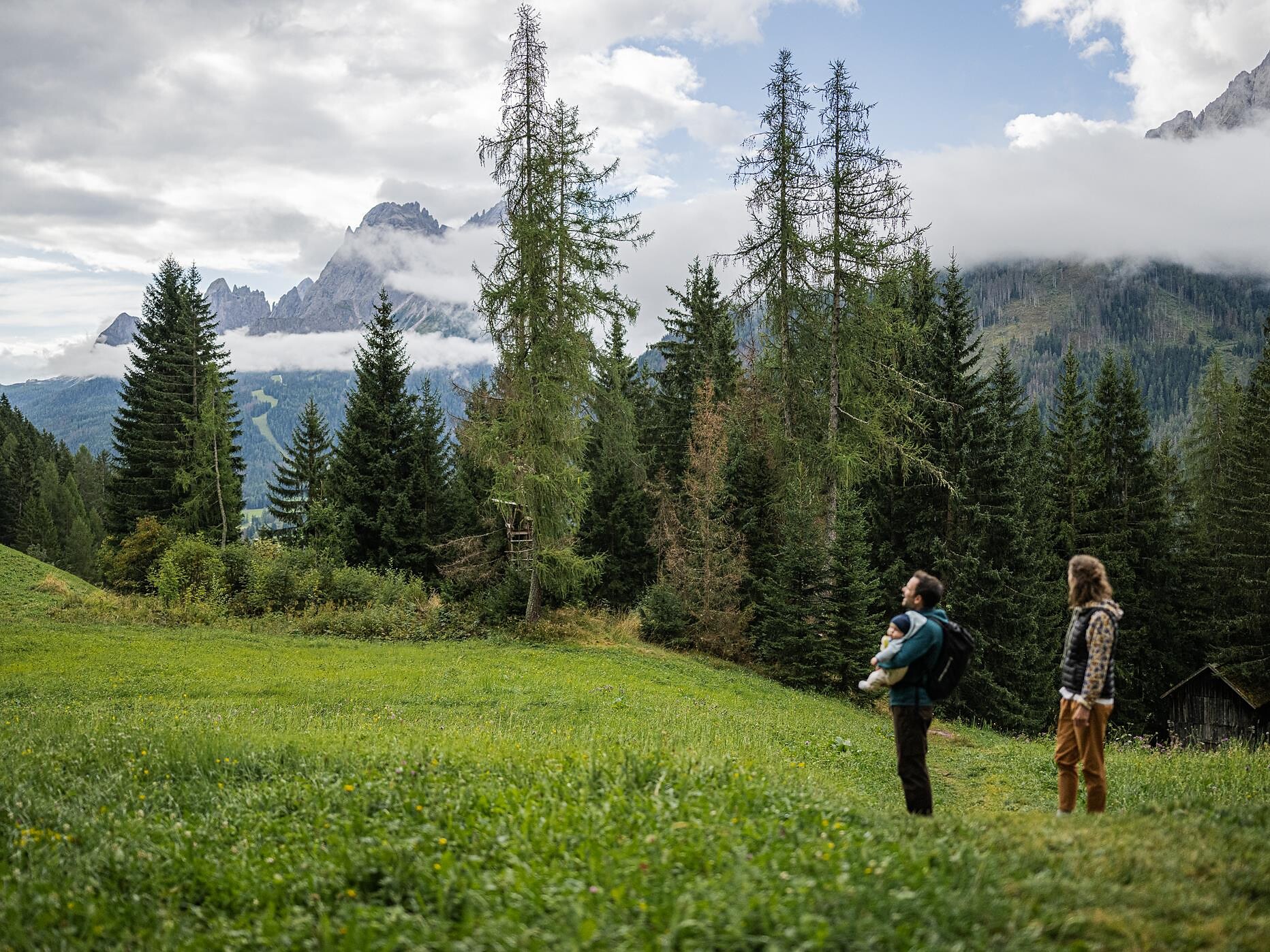 Golden Autumn: Pleasant hike with the Drei Zinnen Alpine School - Dolomites Region 3 Zinnen - #1 - suedtirol.info