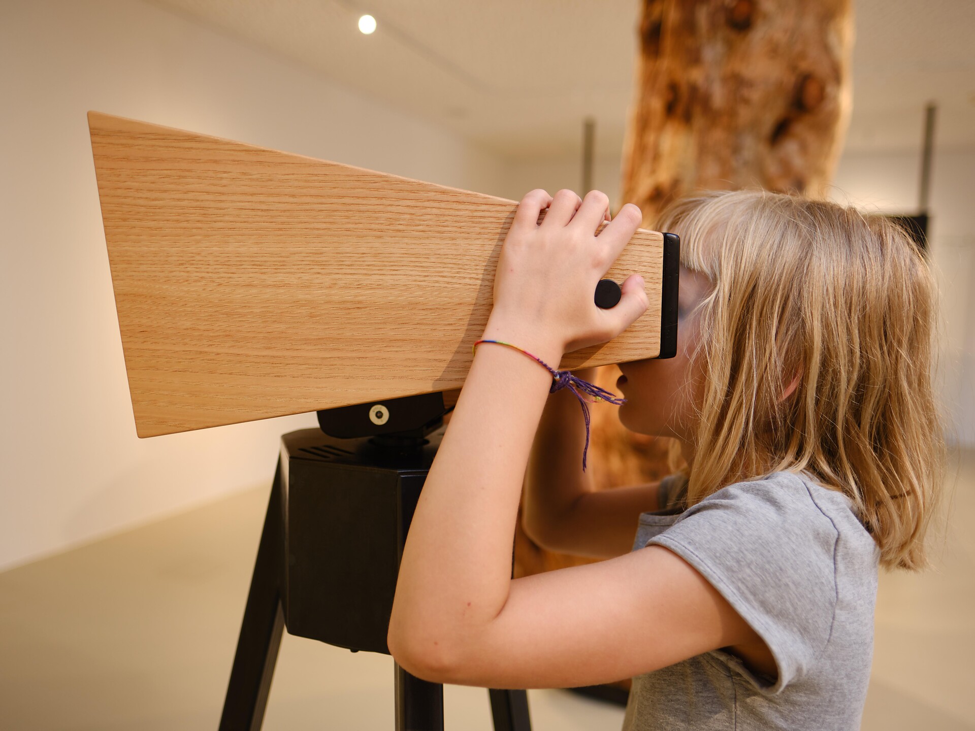 Visita guidata: Antiche culture e nuovi orizzonti - Regione dolomitica Alpe di Siusi - #2 - suedtirol.info