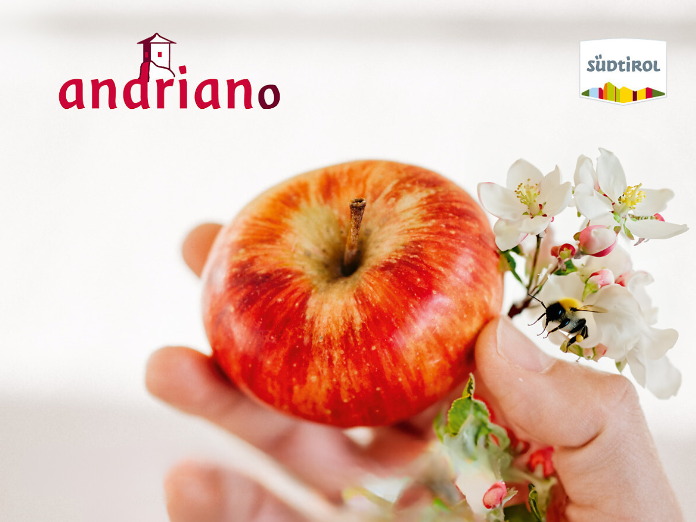 Andrian Apple Festival - Alto Adige Wine Road - #1 - suedtirol.info